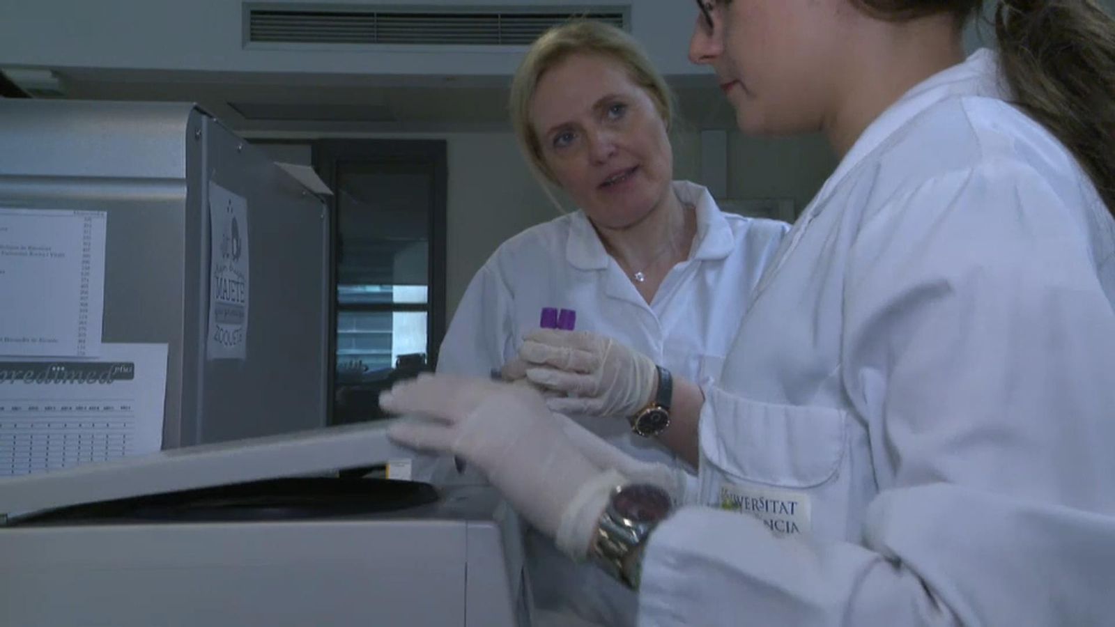 Dolors Corella: \"Les dietes s\'hauran de planificar en funció dels sabors dels aliments\"