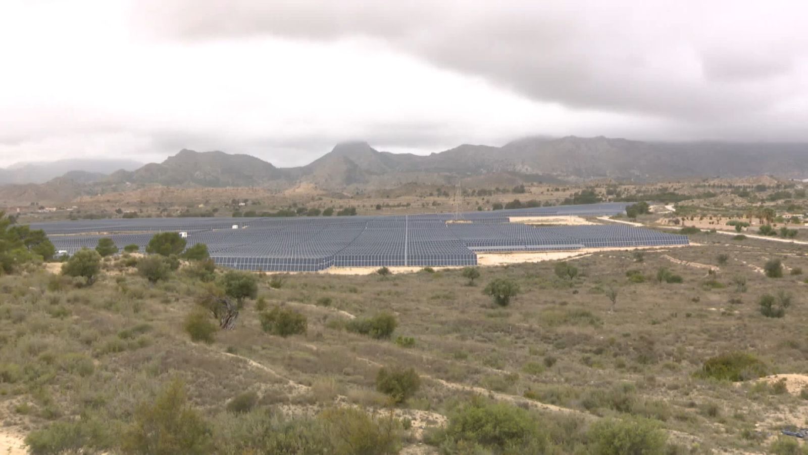 L'Ajuntament d'Elx declara la guerra a les macroplantes solars