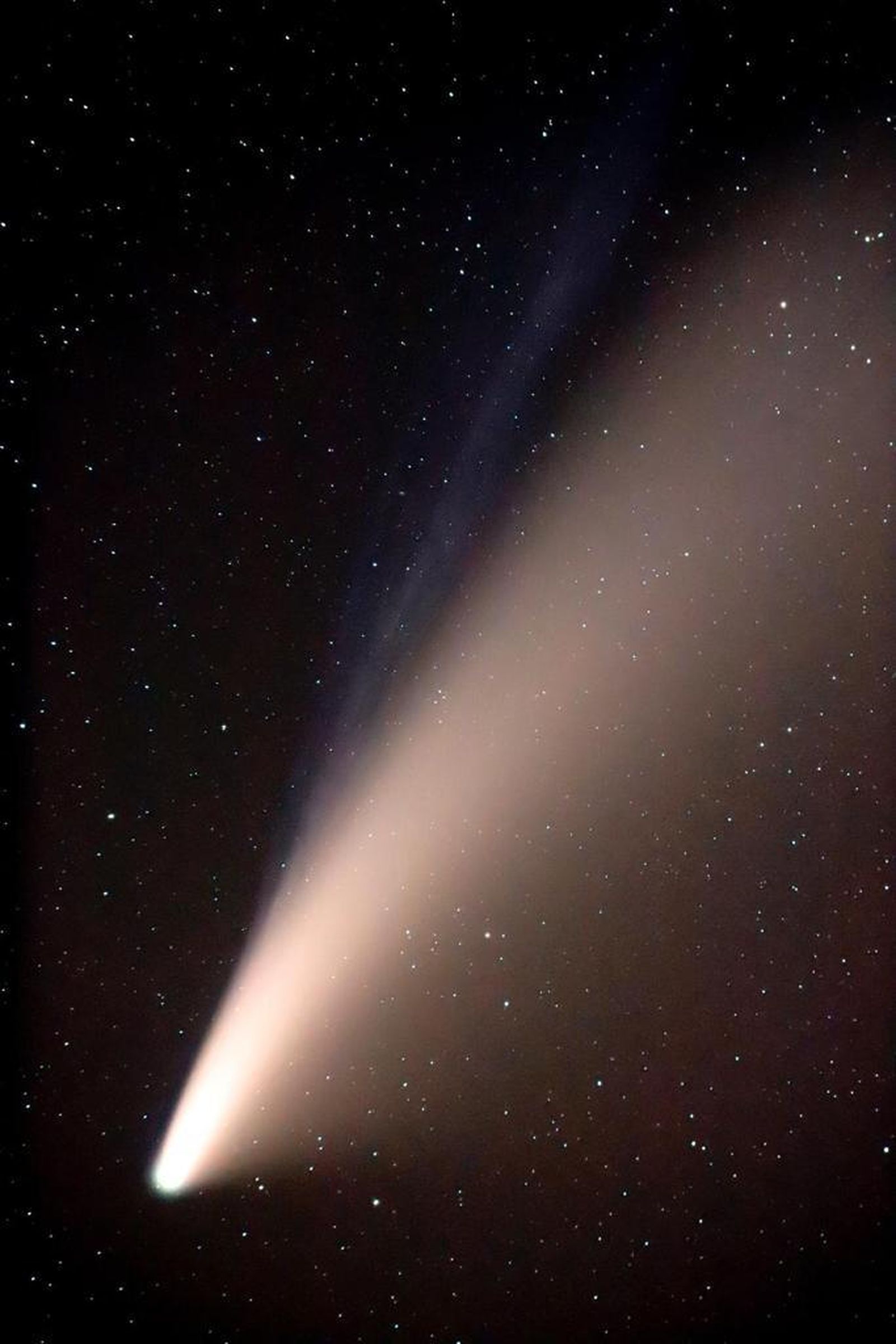 L'espectacle d'estreles es podrà apreciar des de tot el territori