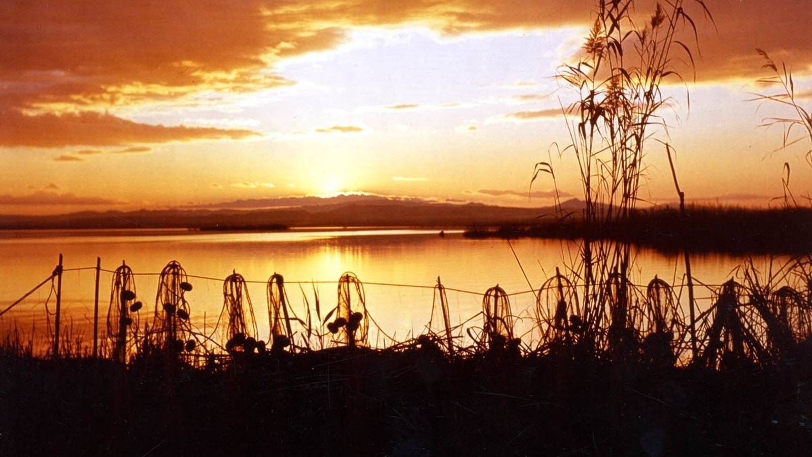Entra en vigor el nou règim jurídic de l\'Albufera, que elimina referències a les reclassificacions