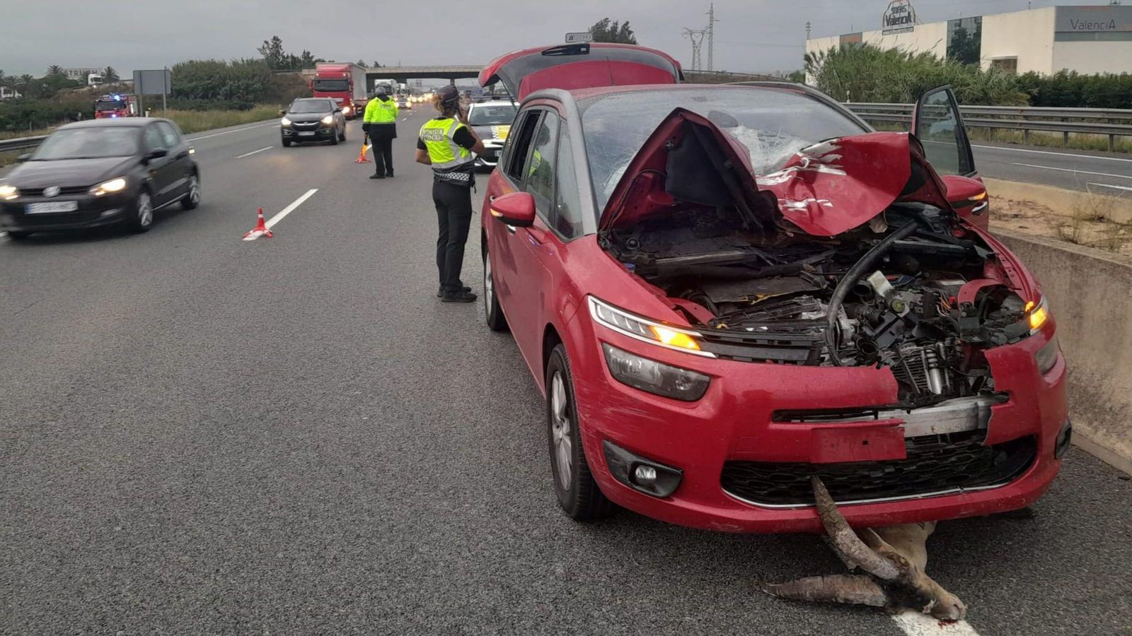 En imatge, el vehicle sinistrat amb la cabra en els baixos