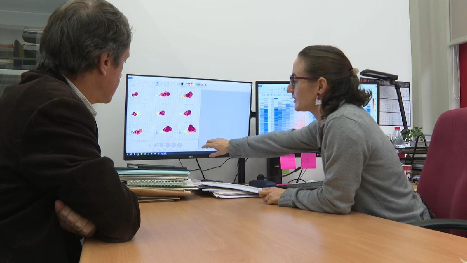 Un estiu etern, estudi de la UPV