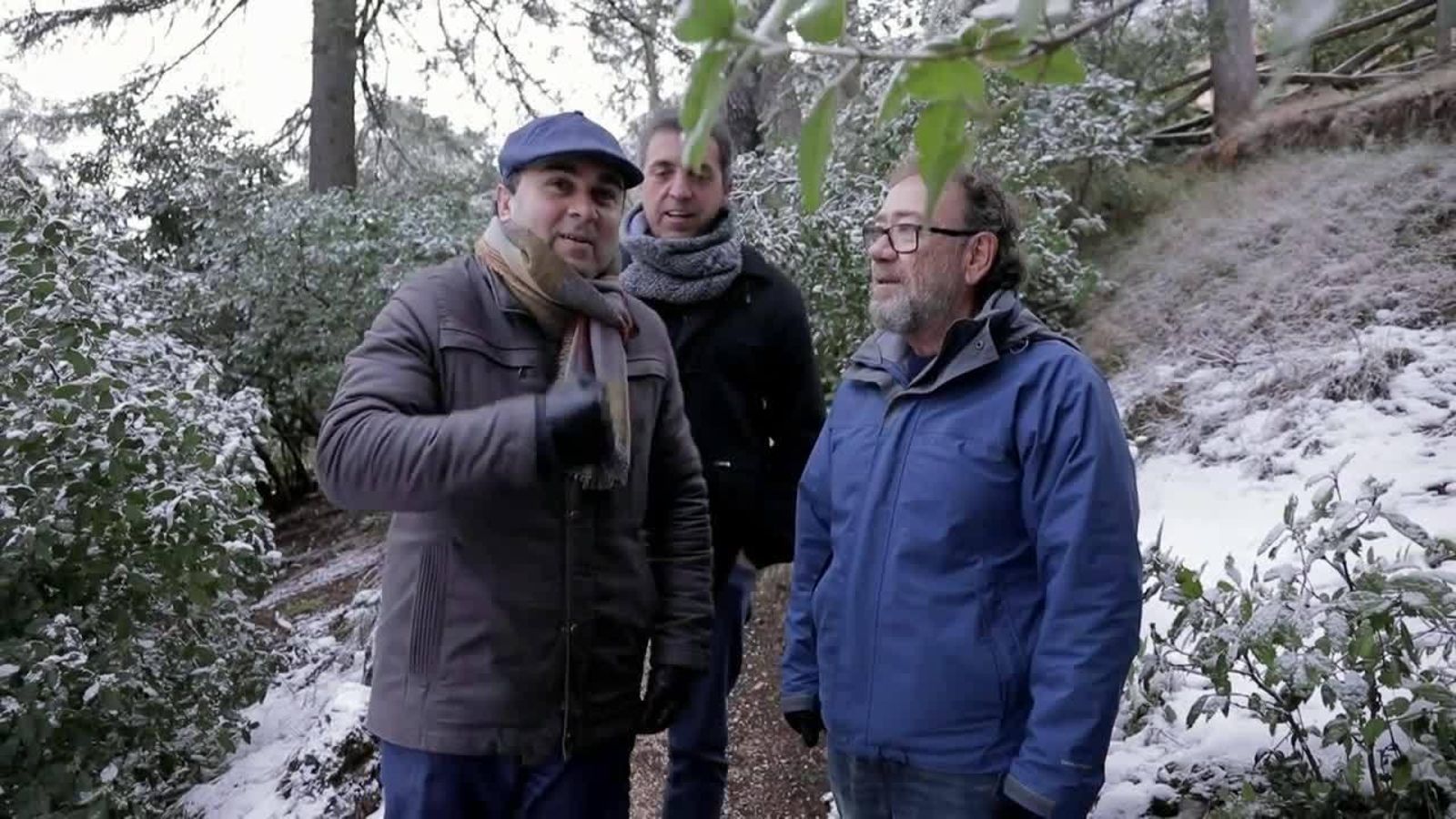 11.09.2018 | Alcoi - el Comtat, “Art i tradició”