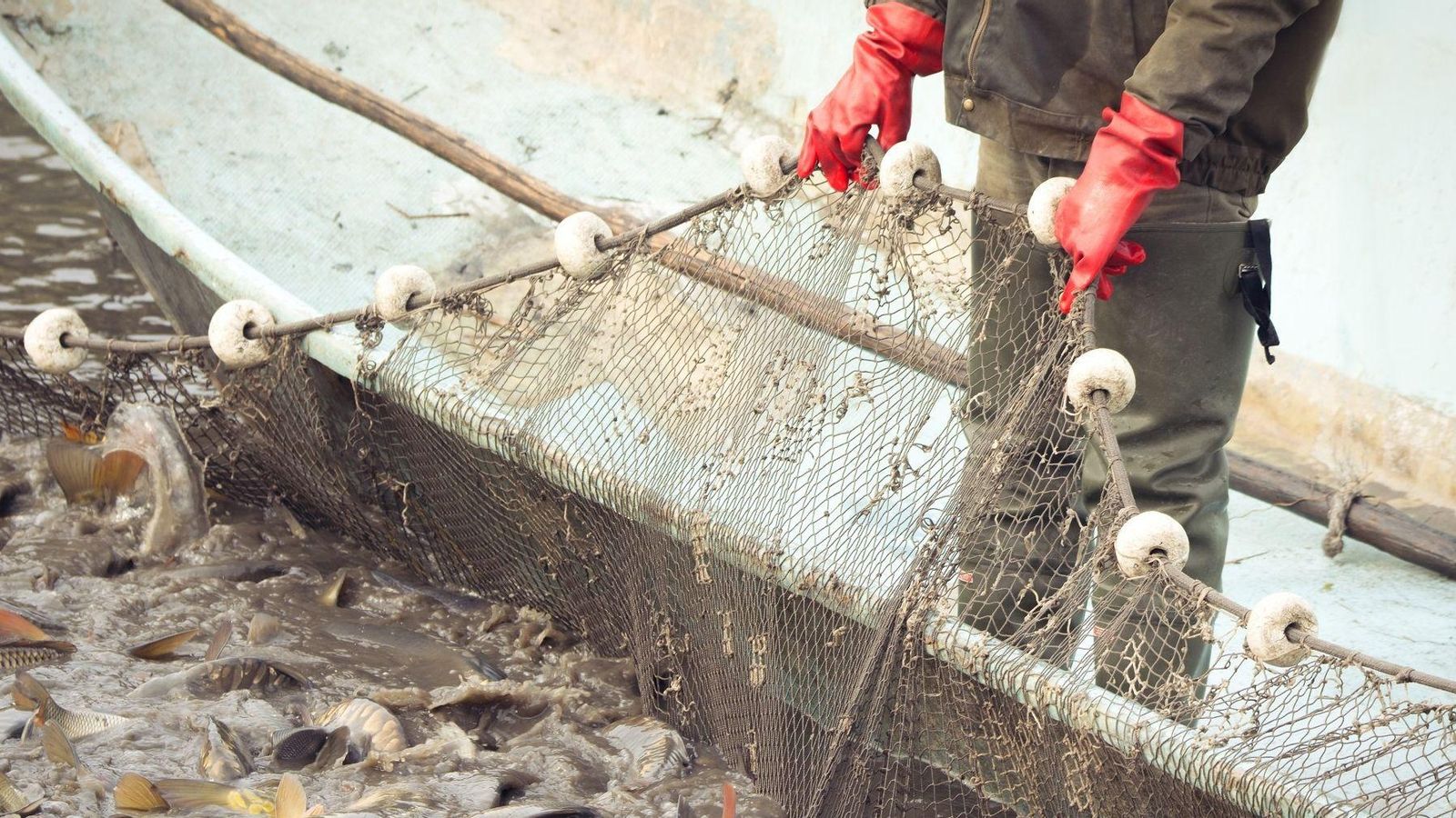 Pescador amb una xarxa