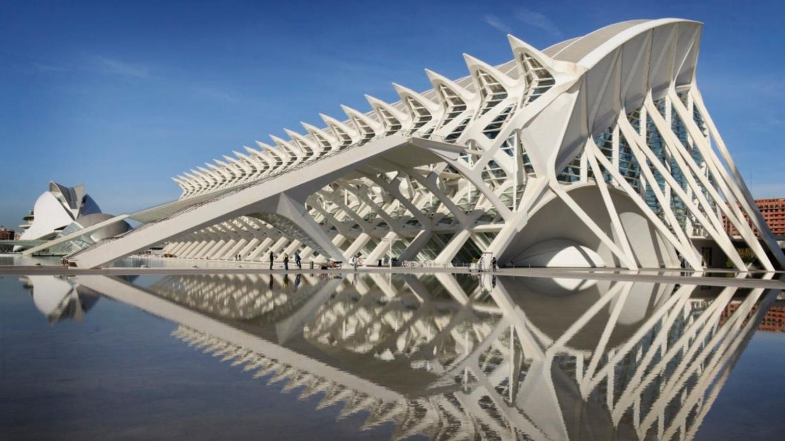 Museu dels Ciències Príncep Felip de la Ciutat de les Arts i les Ciències de València, en una imatge d'arxiu