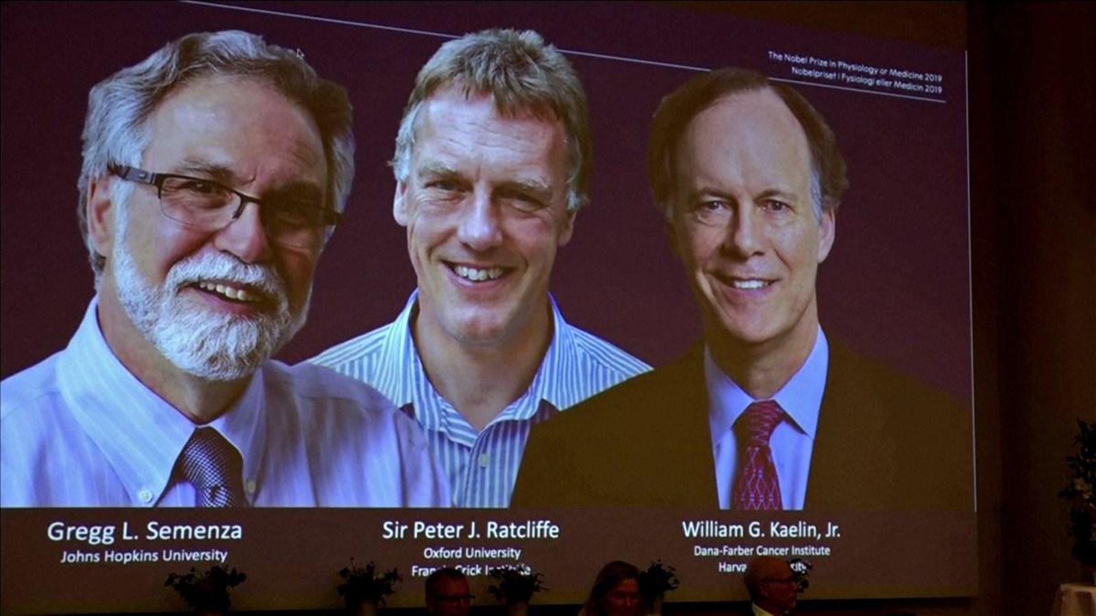 En imatge, els científics premiats amb el Nobel de Medicina 2019