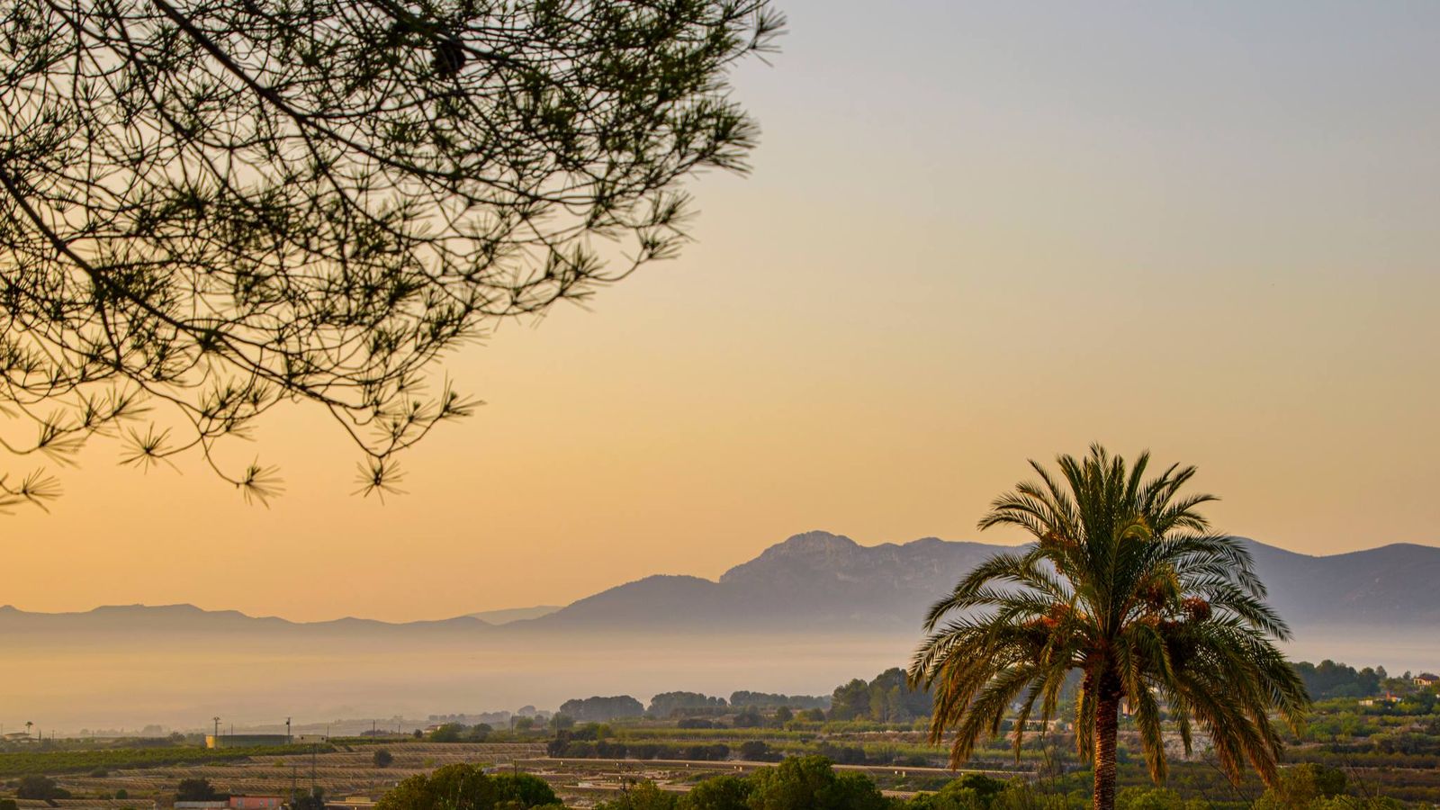 L’ OLLERIA, VALL D'ALBAIDA,