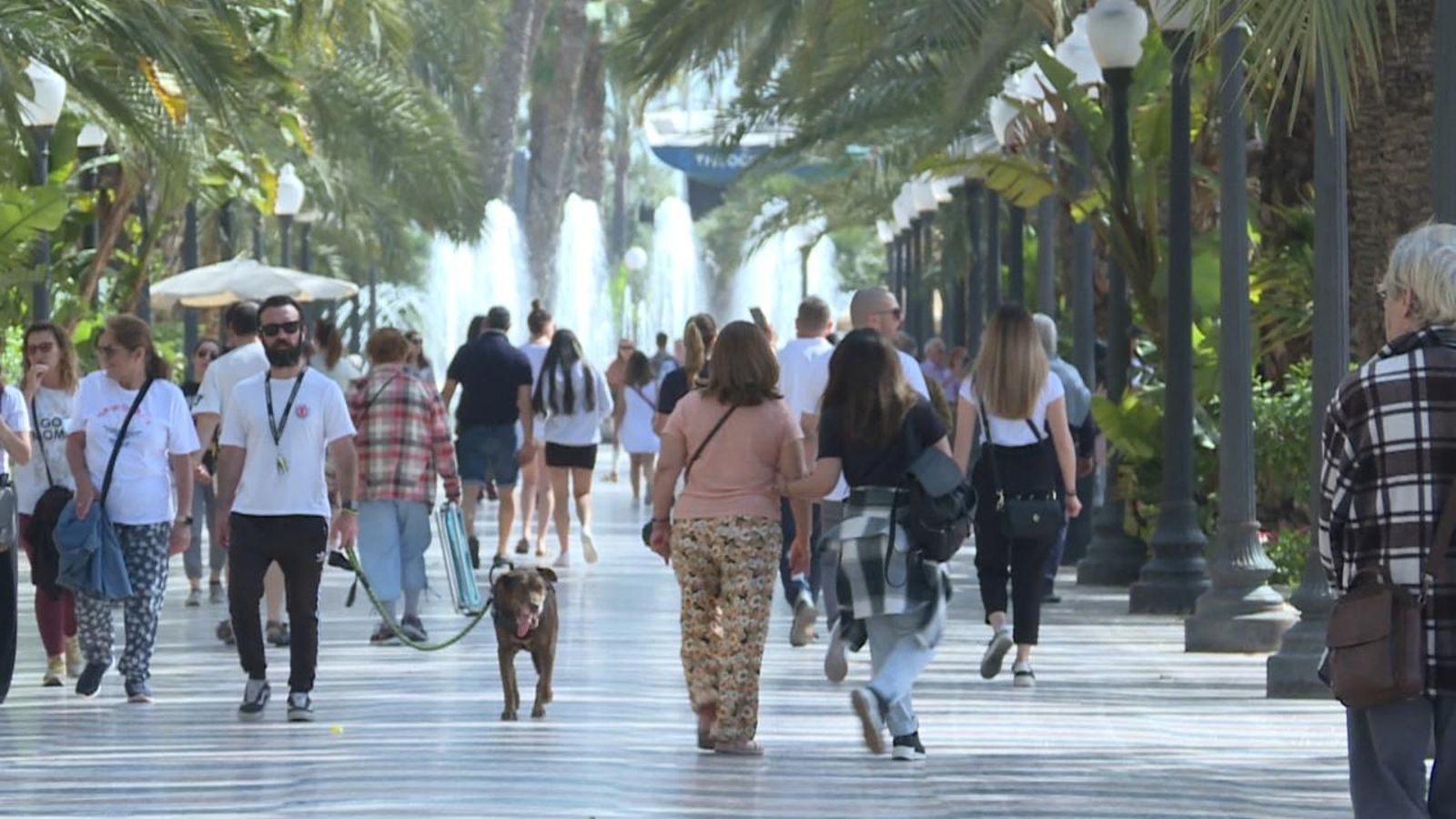Els turistes miren de reüll els preus aquestes vacances