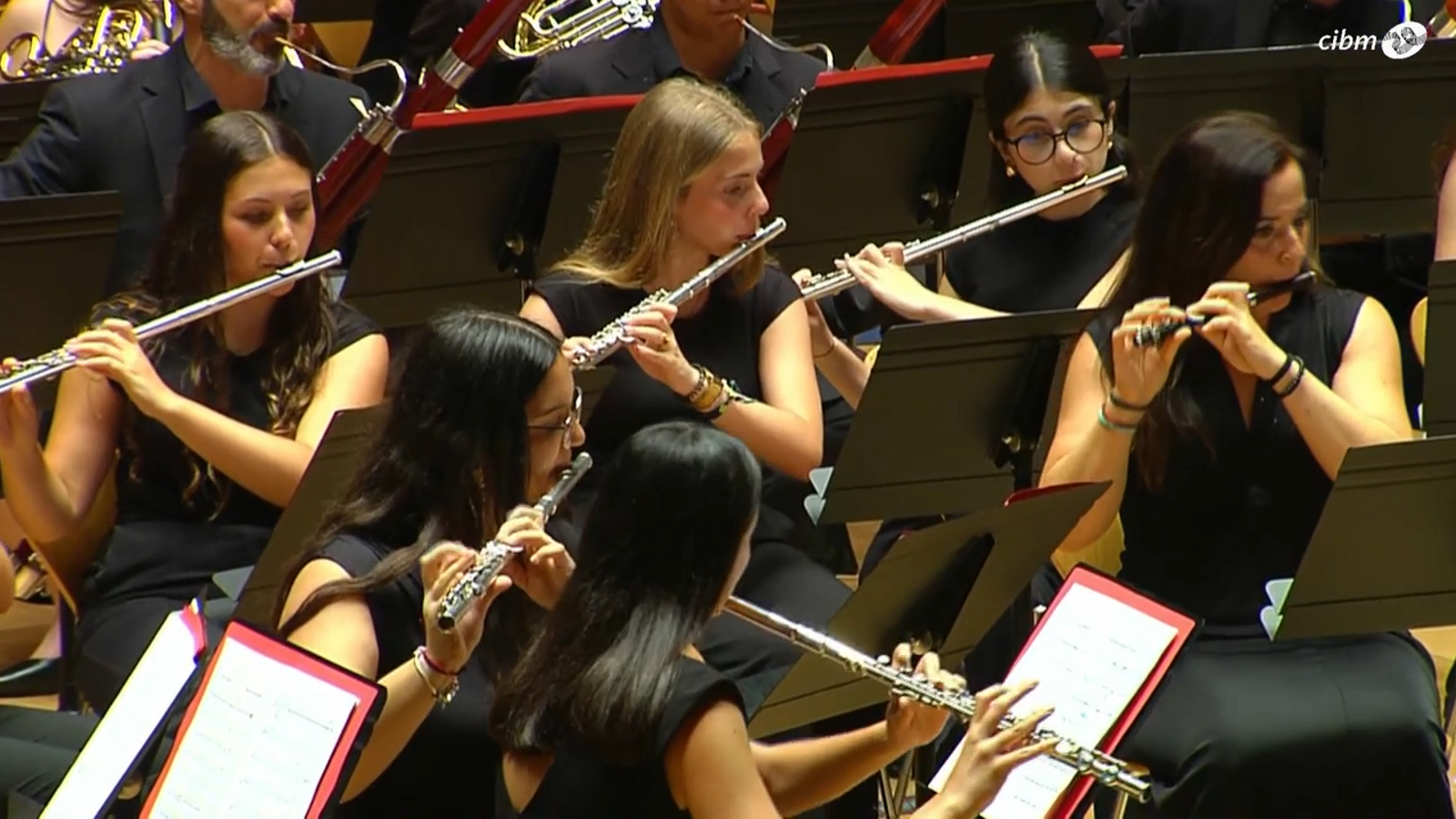 137 Certamen Internacional de Bandes | Unión Musical Cartagonova (Murcia)