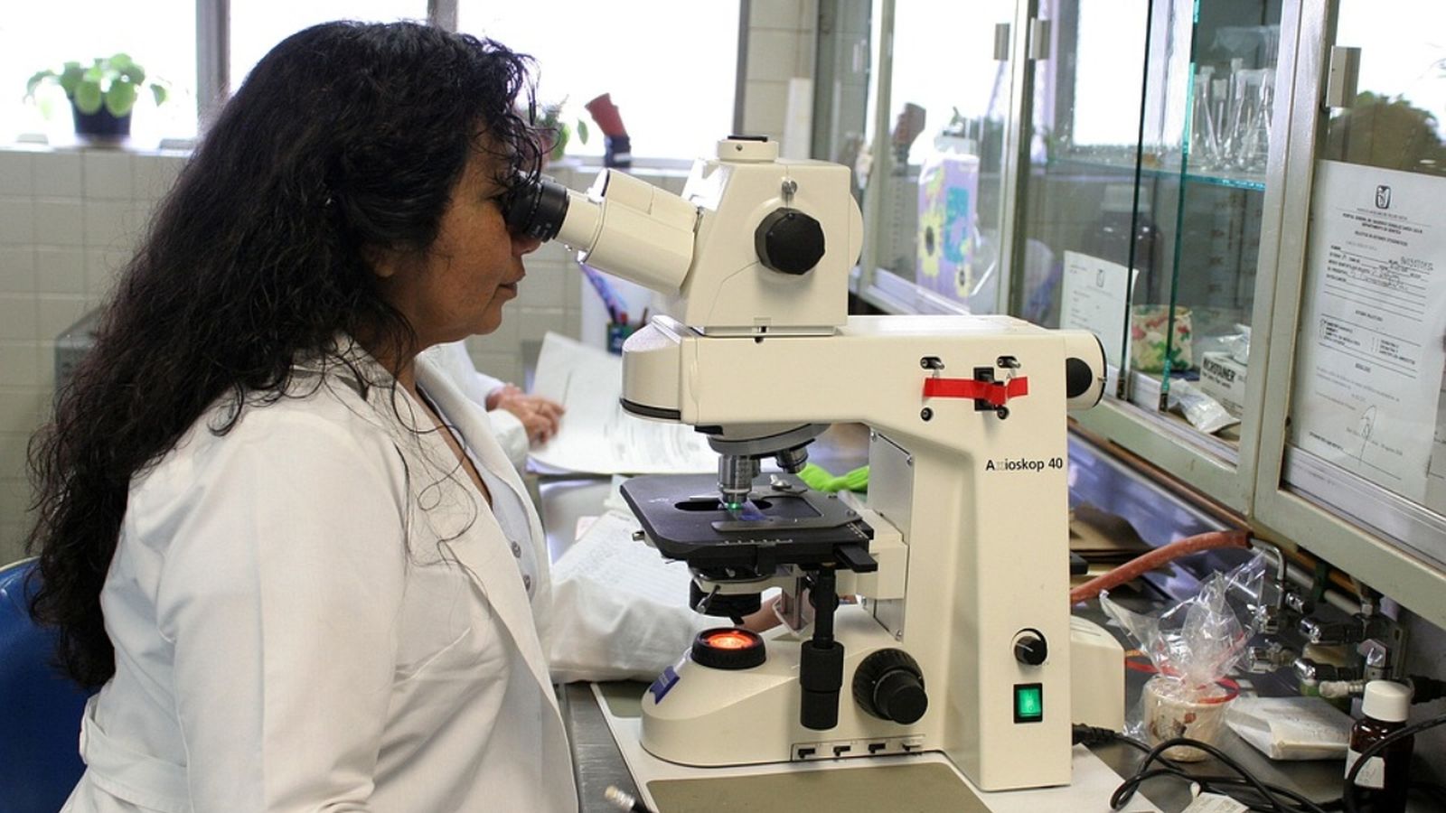 Espanya és el tercer país de la UE amb més dones investigadores