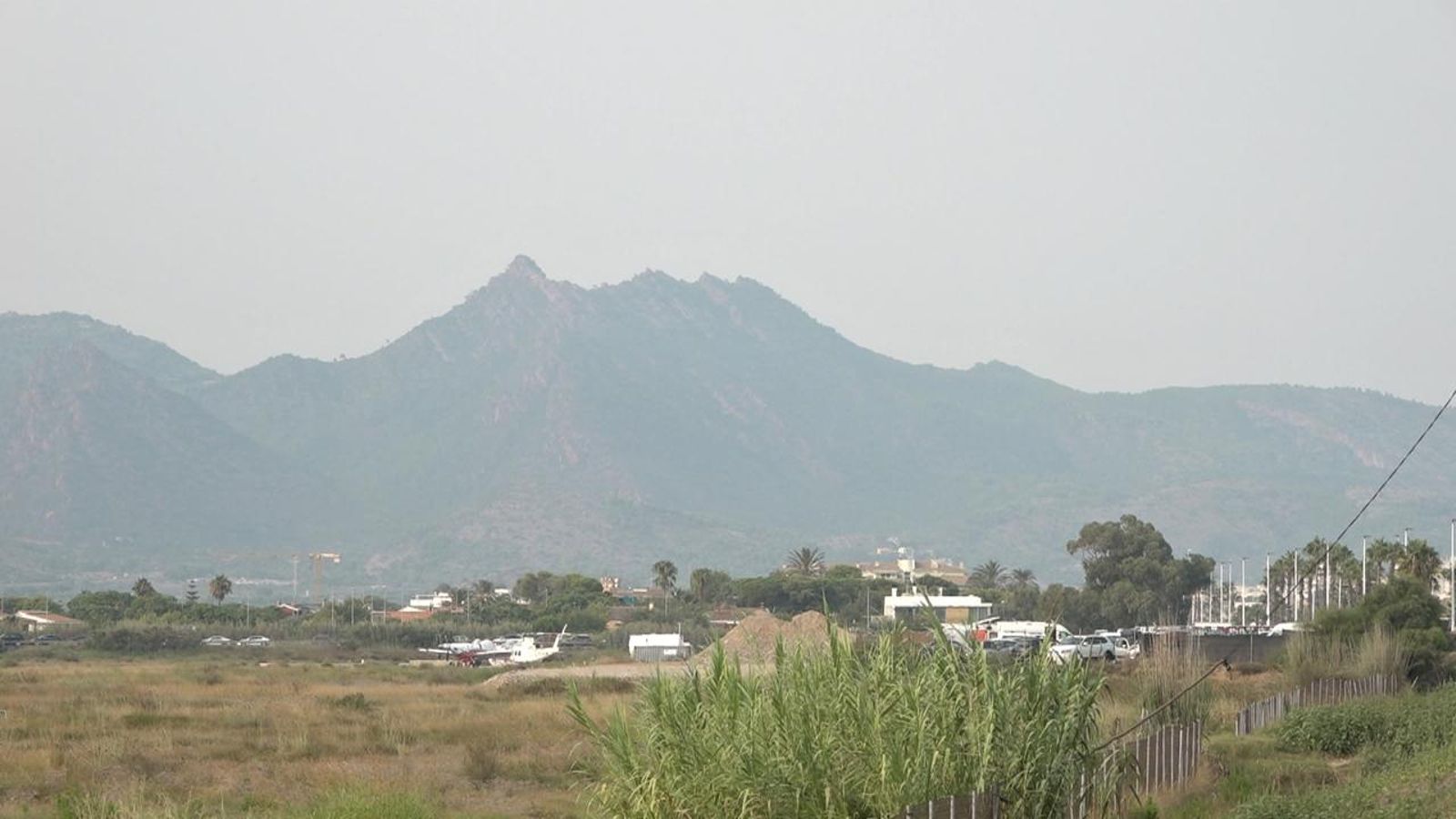 Cel térbol per la calitja