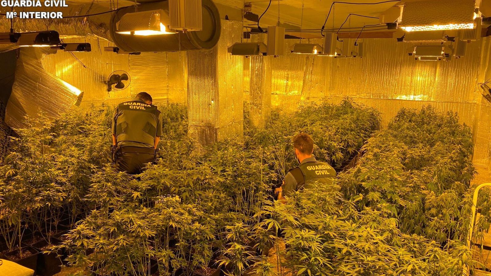 La GuLa Guardia Civil ha detingut a tres persones per delictes contra la salut pública