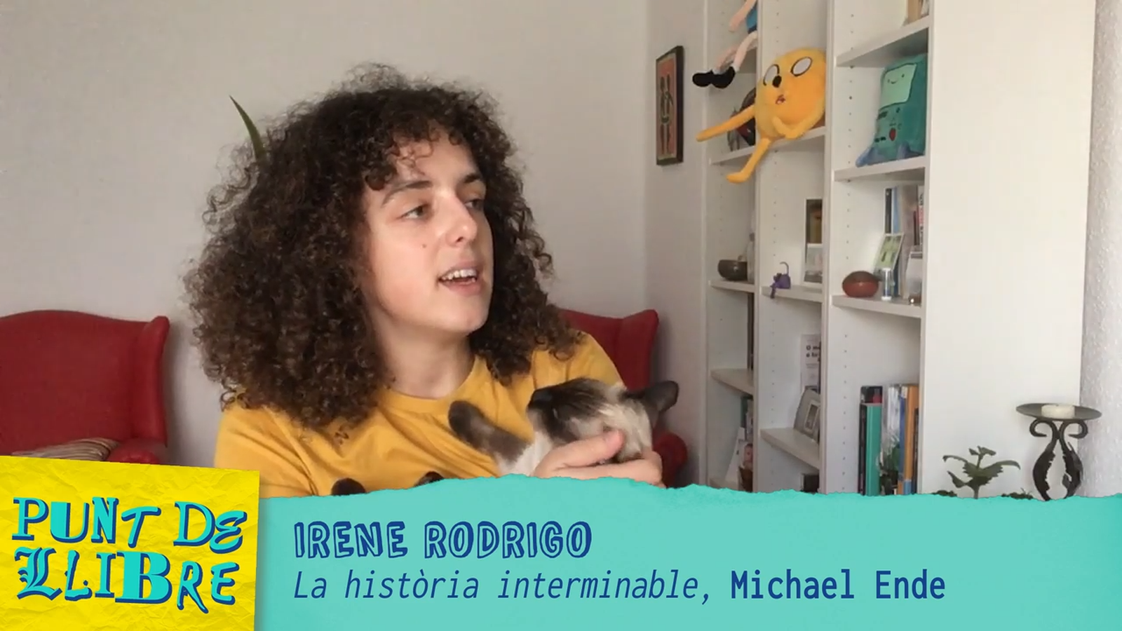 La recomanació d'Irene Rodrigo | Punt de llibre