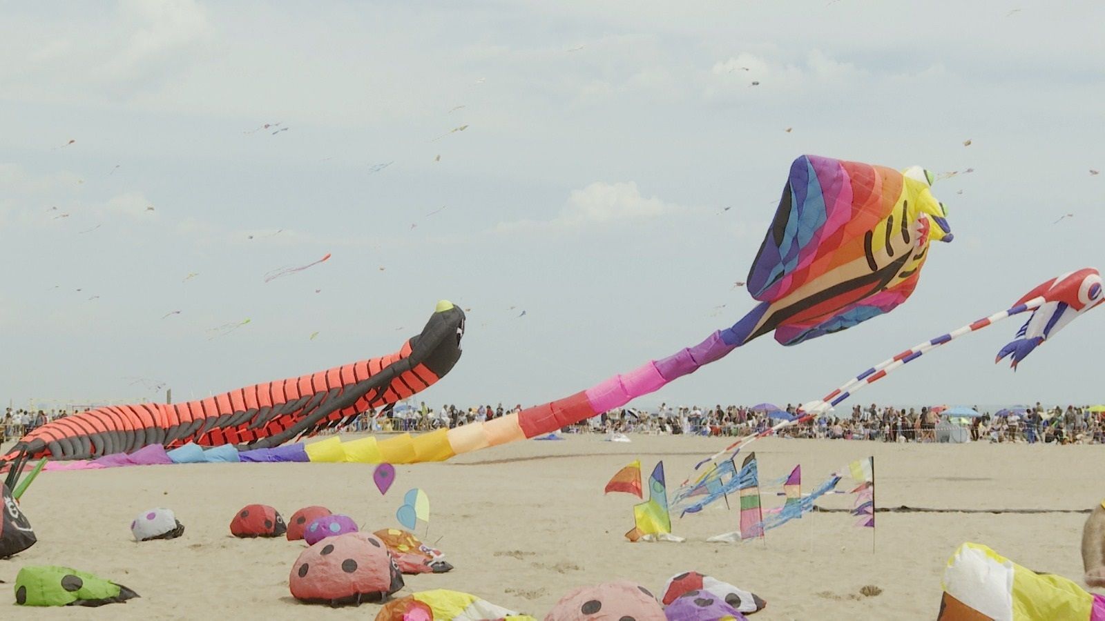 EuropaPress 6677878 mas 30 cometas llenan color cielo playa cabanyal valencia