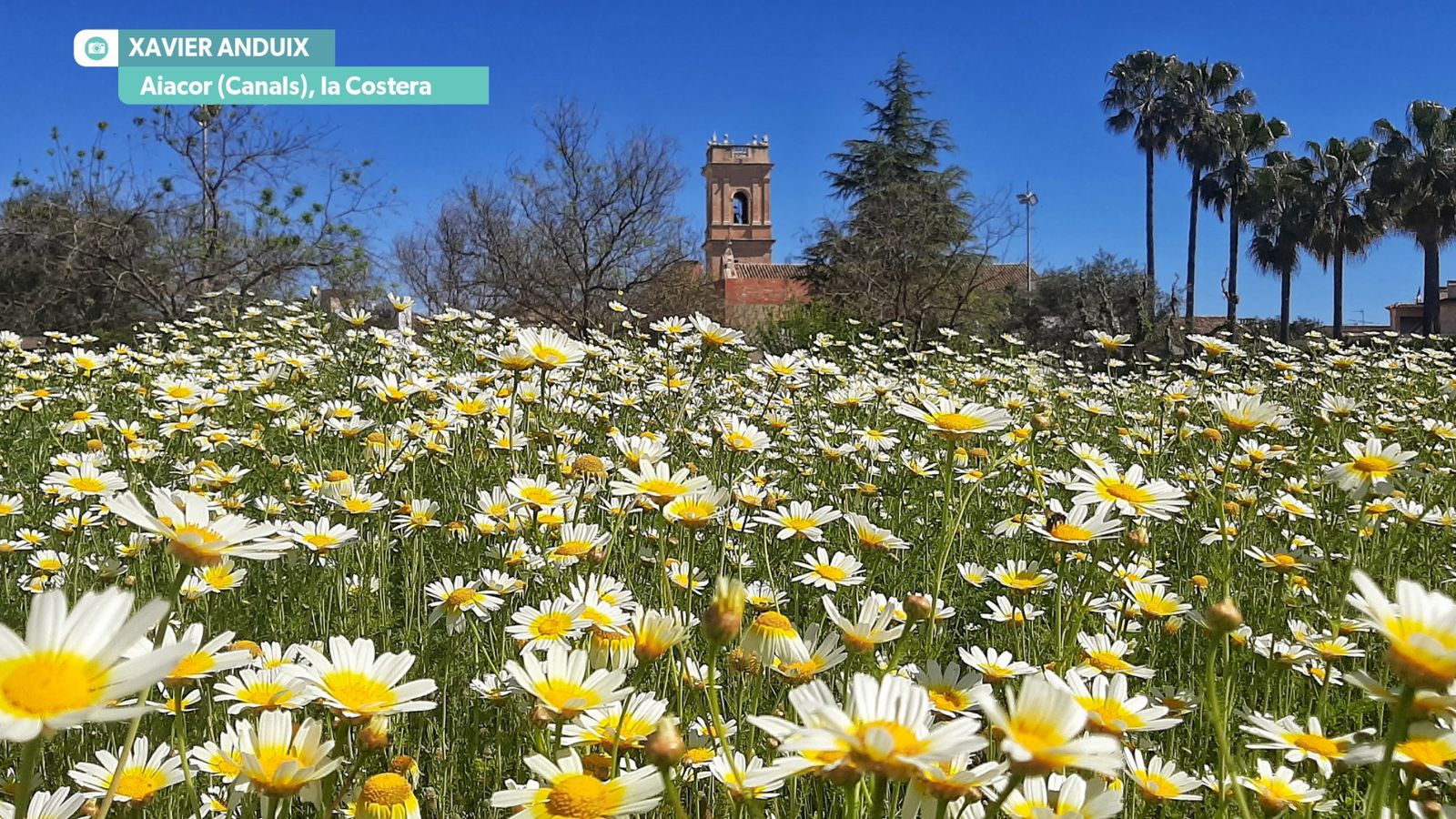 Oratge estable i assolellat