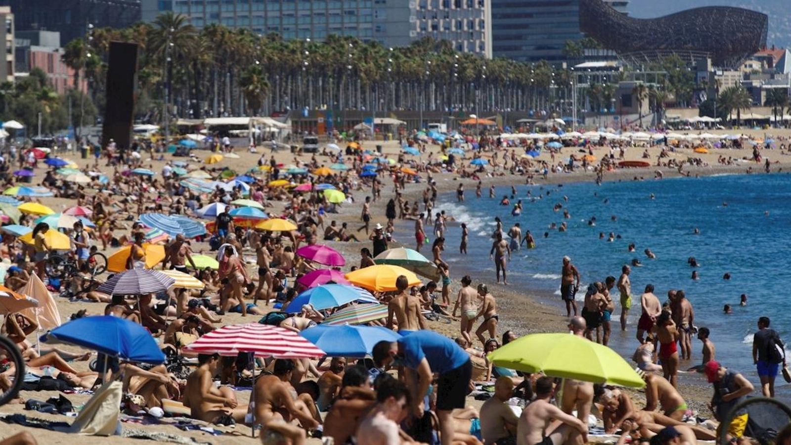 Platja de Sant Sebastià de Barcelona, aquest diumenge