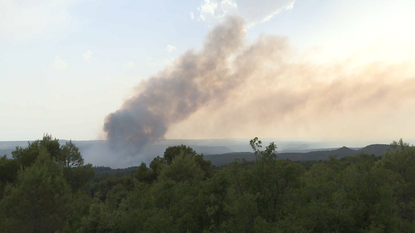 Zona afectada per l'incendi a Venta del Moro