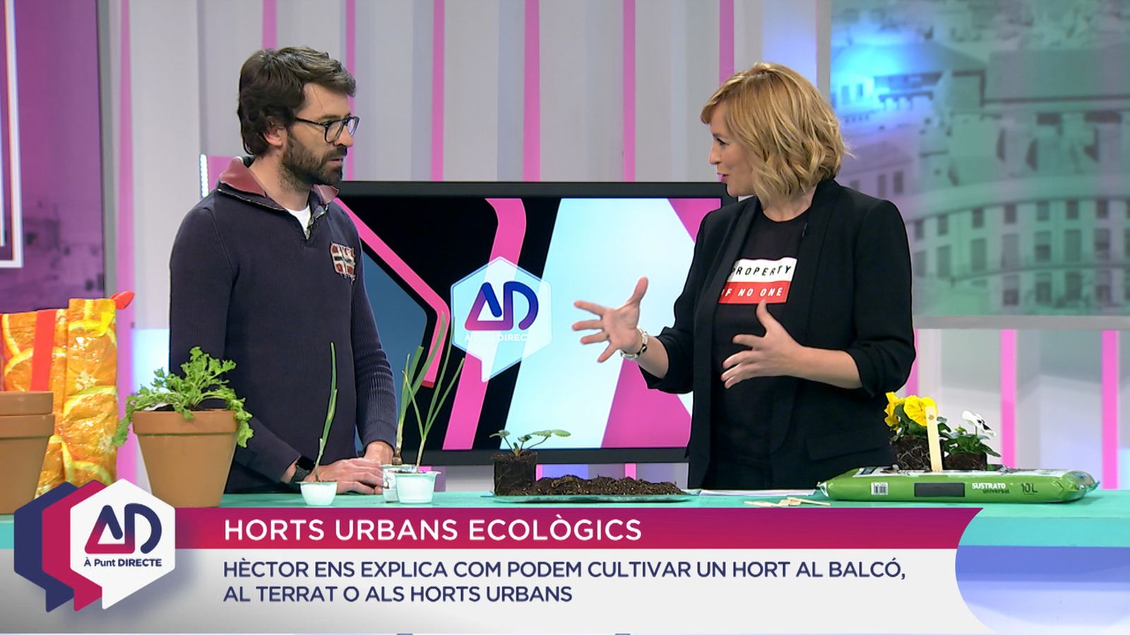 Horts urbans ecològics