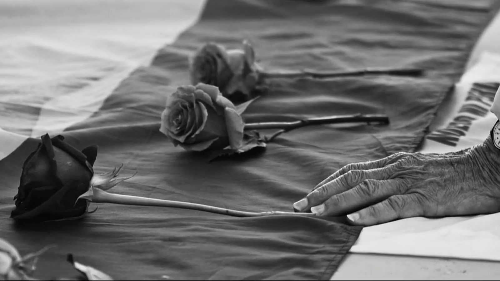 No s'apaguen les estreles