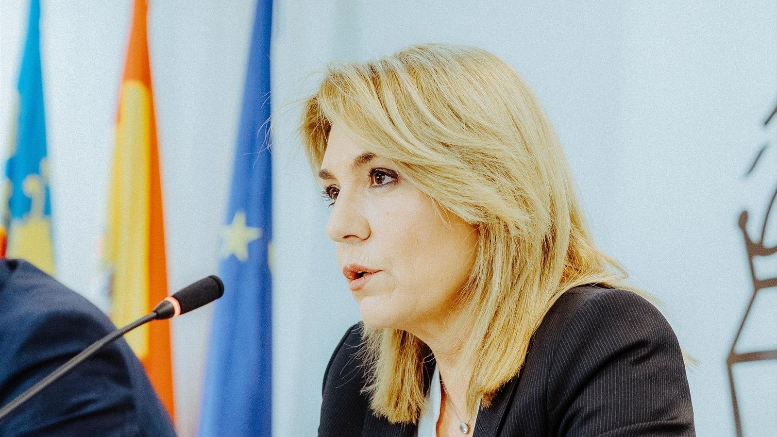 Susana Camarero durant la roda de premsa posterior al Ple del Consell