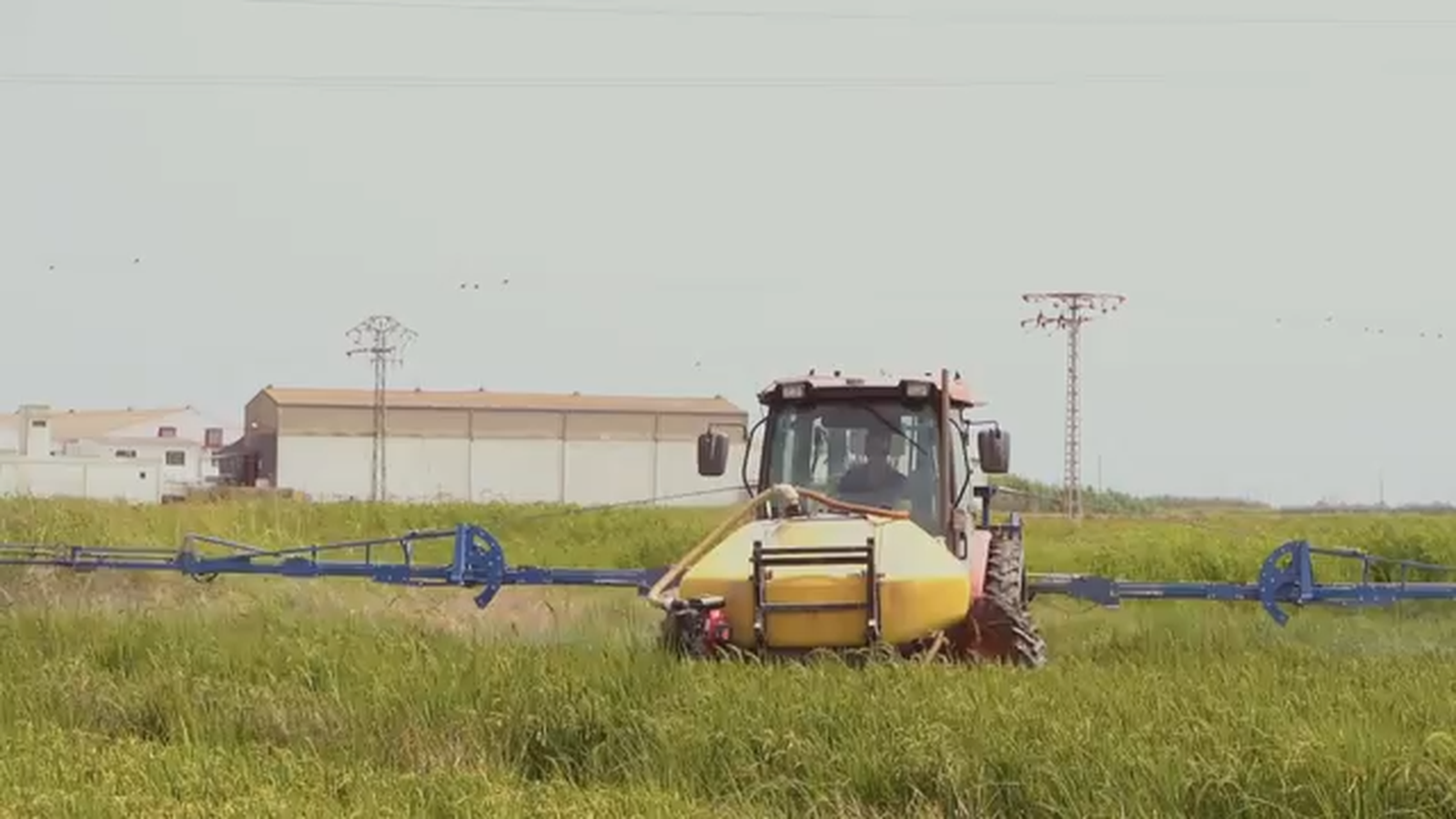 De mar i bancal | De nord a sud