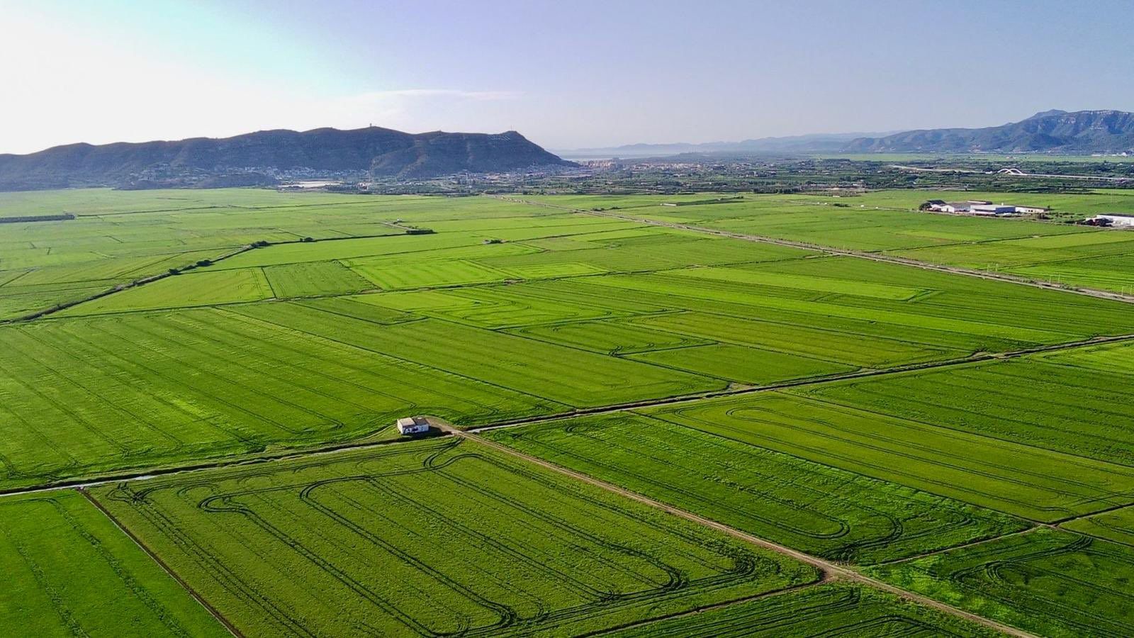 SUECA, LA RIBERA BAIXA