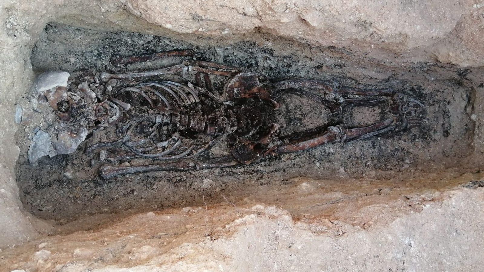 Les restes d'una de les últimes víctimes de la repressió franquista localitzades a Énguera