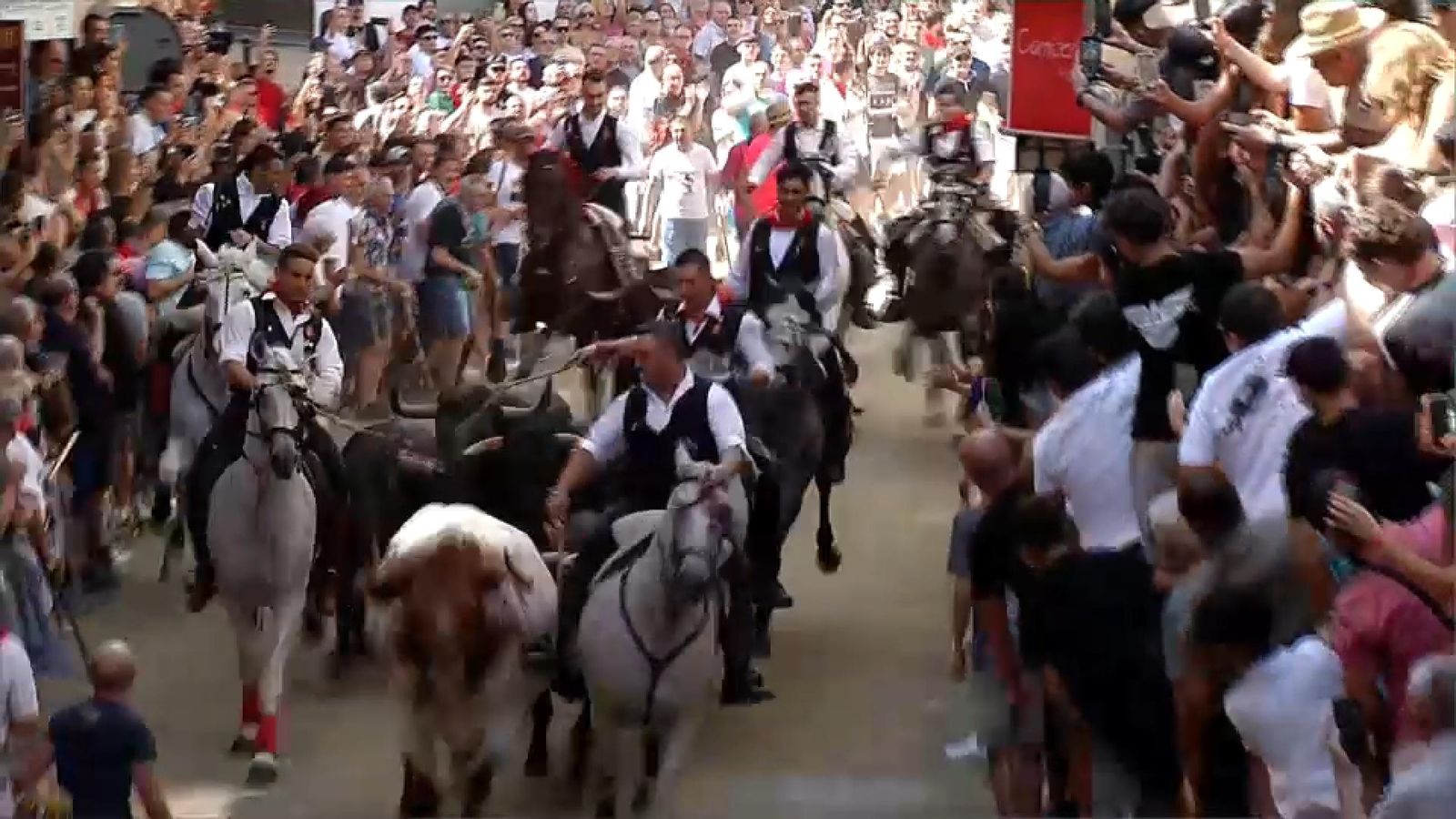 10.09.2025 | Entrada de bous de Segorbe