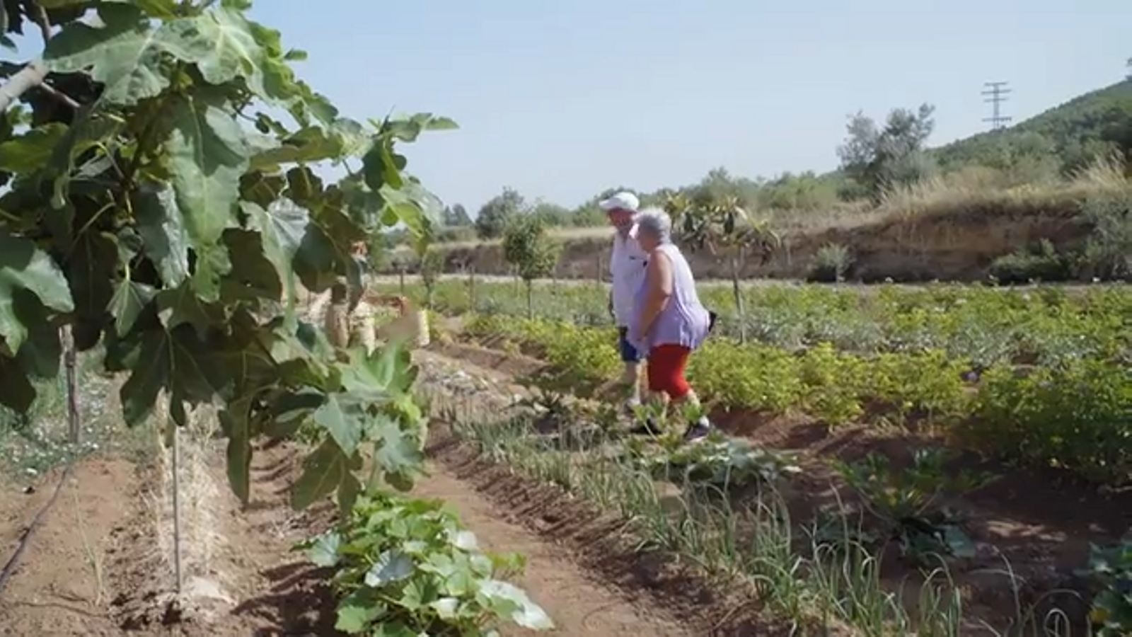 18.08.2023 | Terra Viva