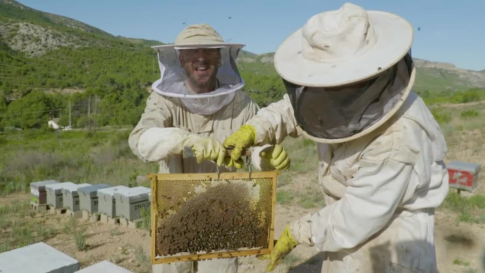 Xulilla: rosquetes amb ametla