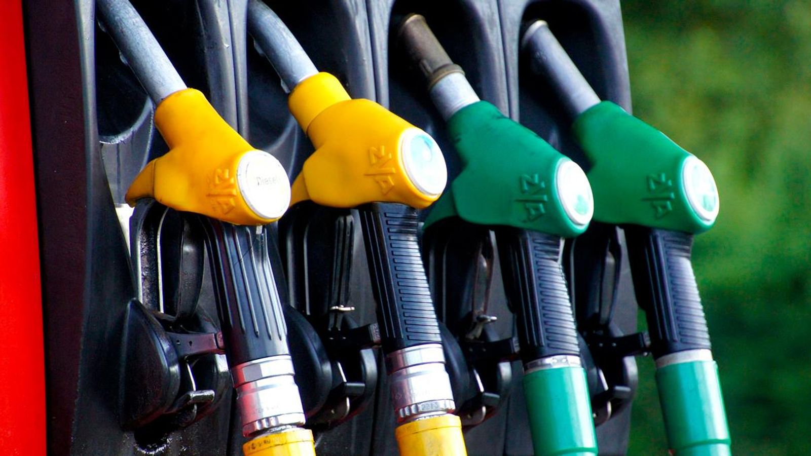 Surtidors de combustible d'una gasolinera.