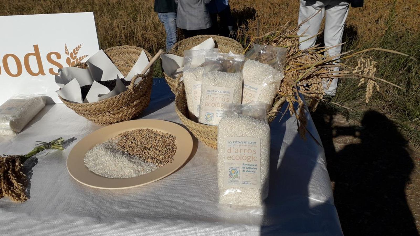 Conrear arròs ecològic significa apostar per la renovació i el futur del sector agrari a la Comunitat Valenciana