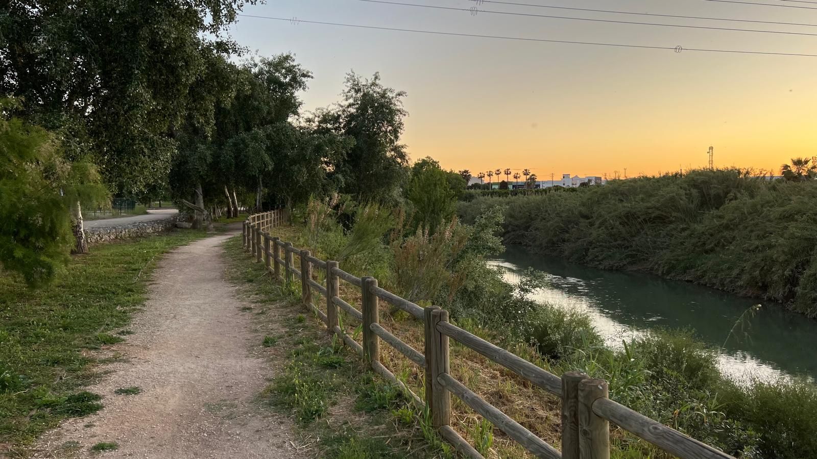 2.PEDRO BENEDITO, Alzira, la Ribera Alta