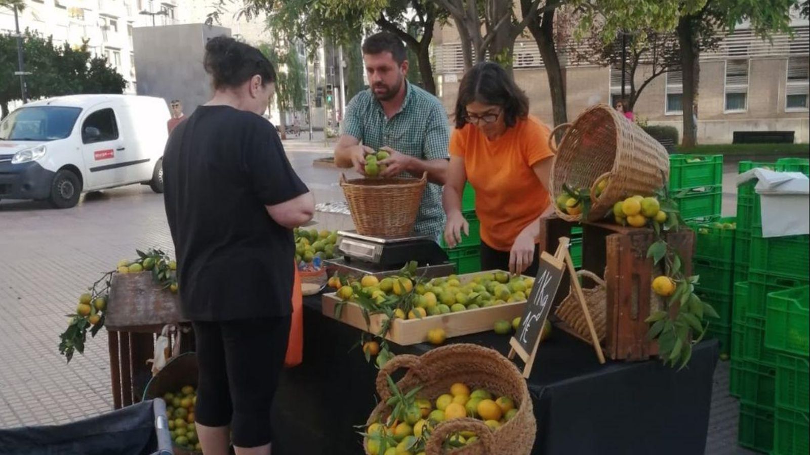 Fira de la Taronja, aquest diumenge a la Plaça Fadrell de Castelló de la Plana