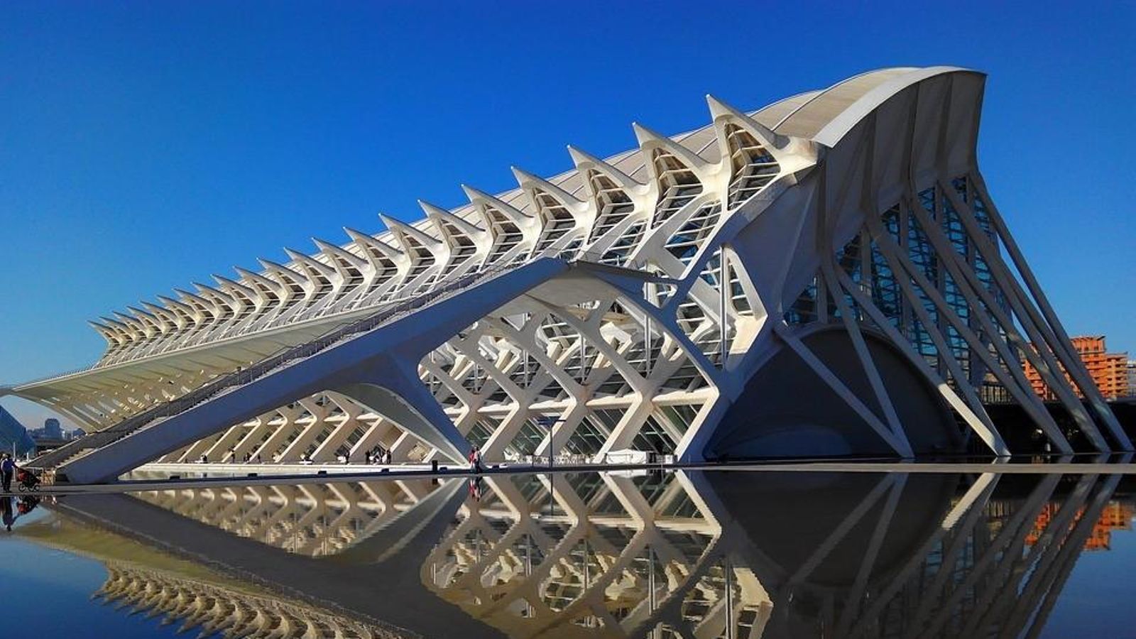 MuseuCiencies descompte