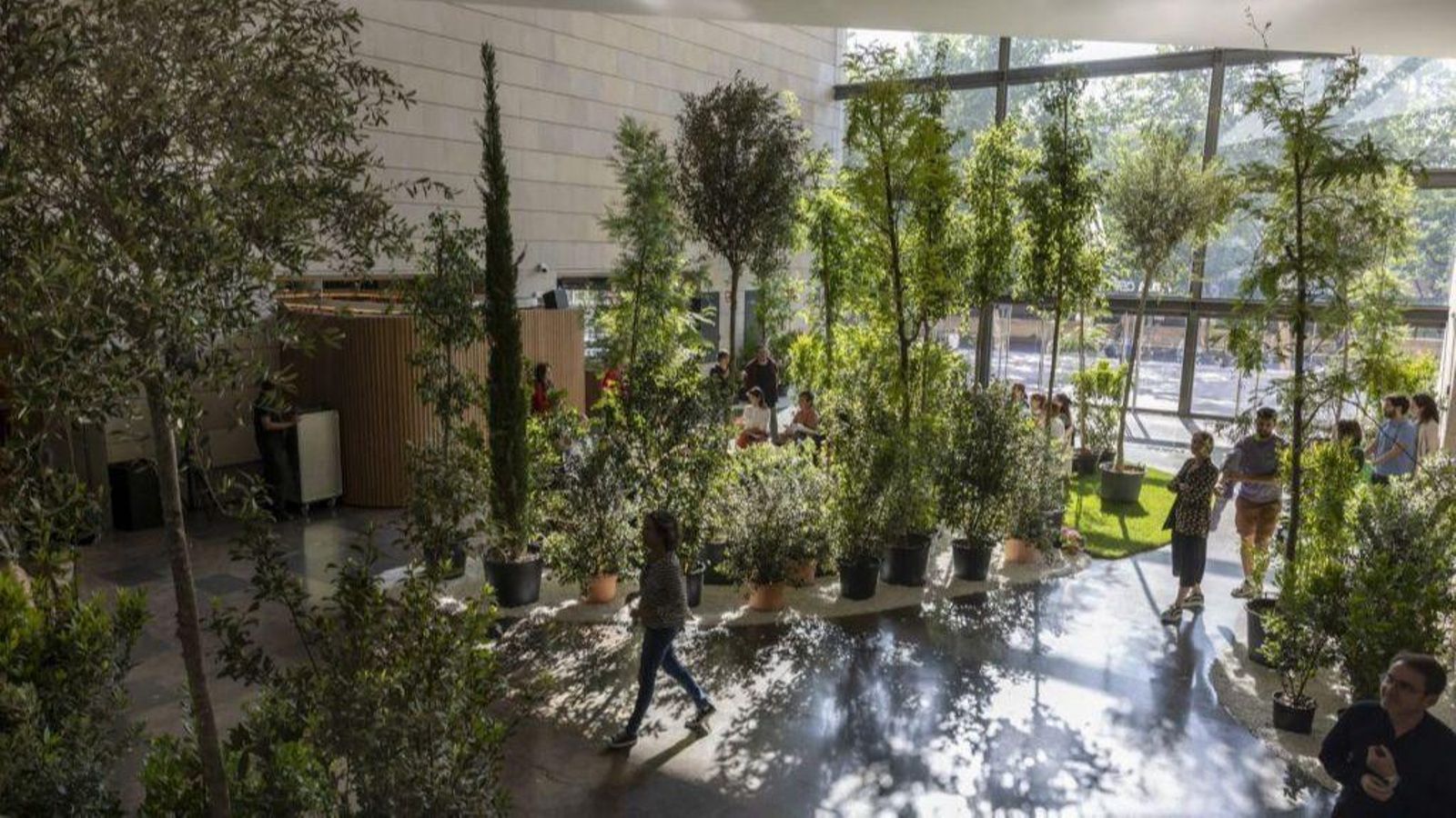 La instal·lació  'Un jardí en el museu!' de l'IVAM