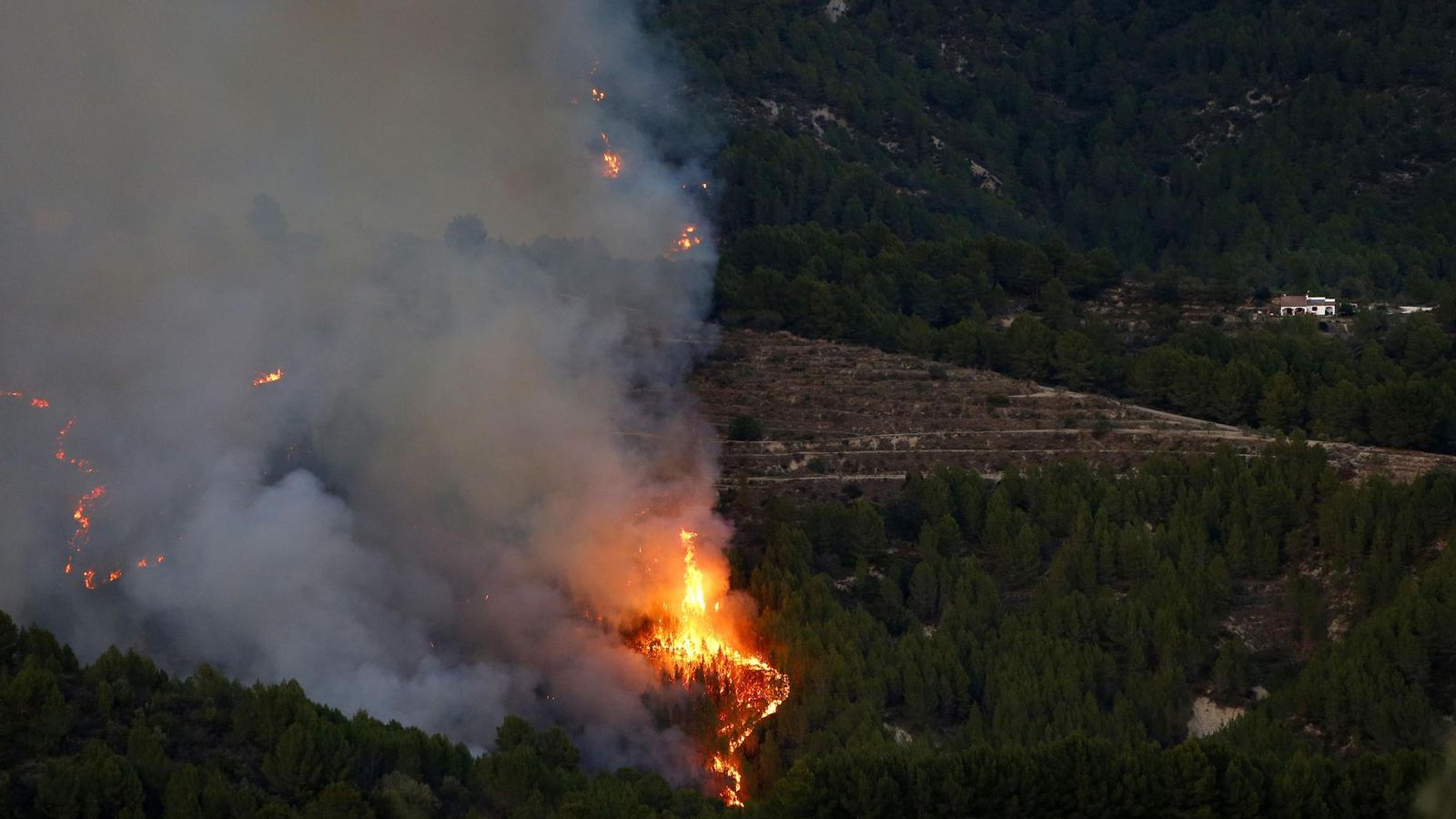 Vista de l'incendi forestal declarat a Tàrbena