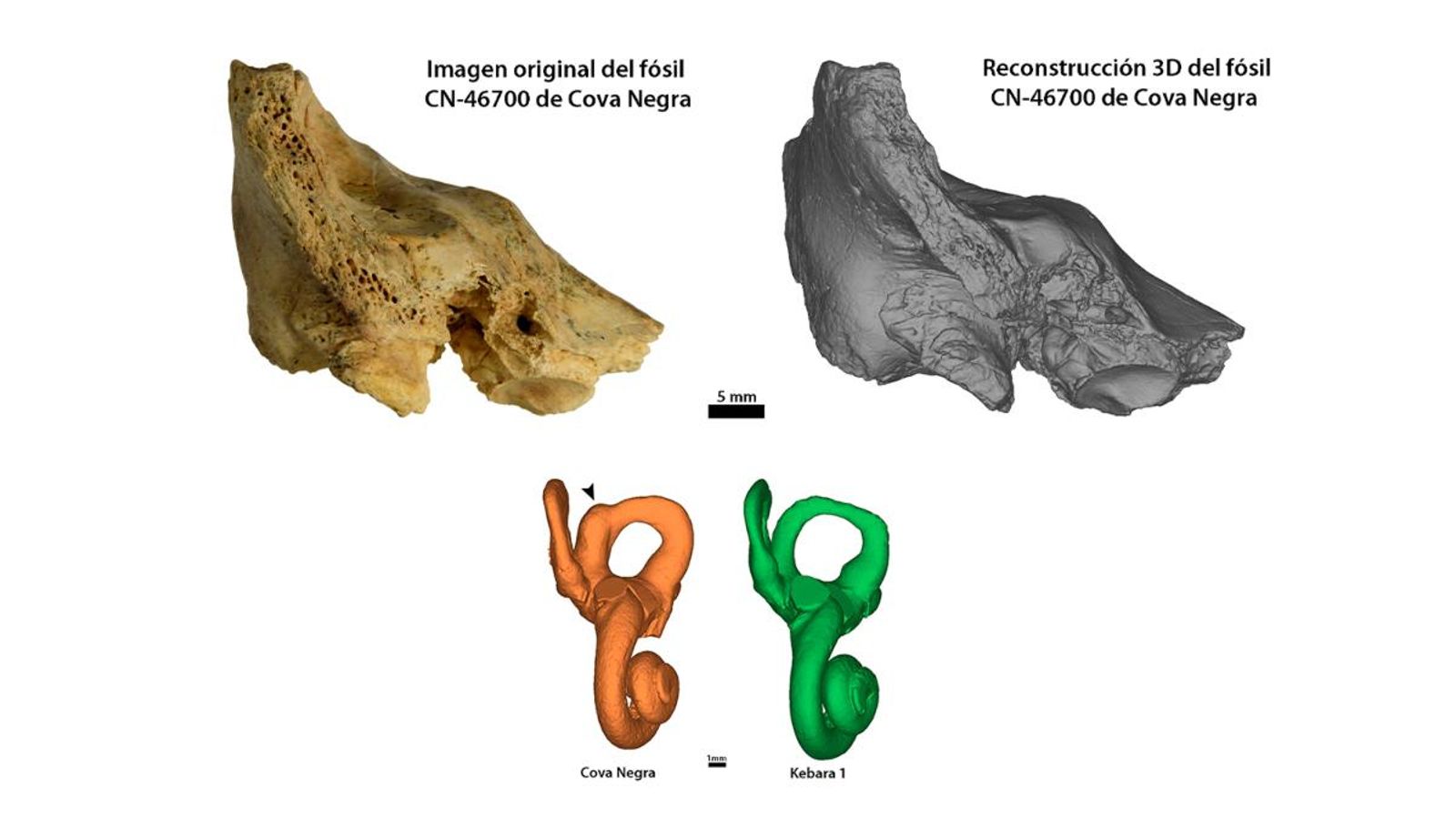 Resultats de la investigació