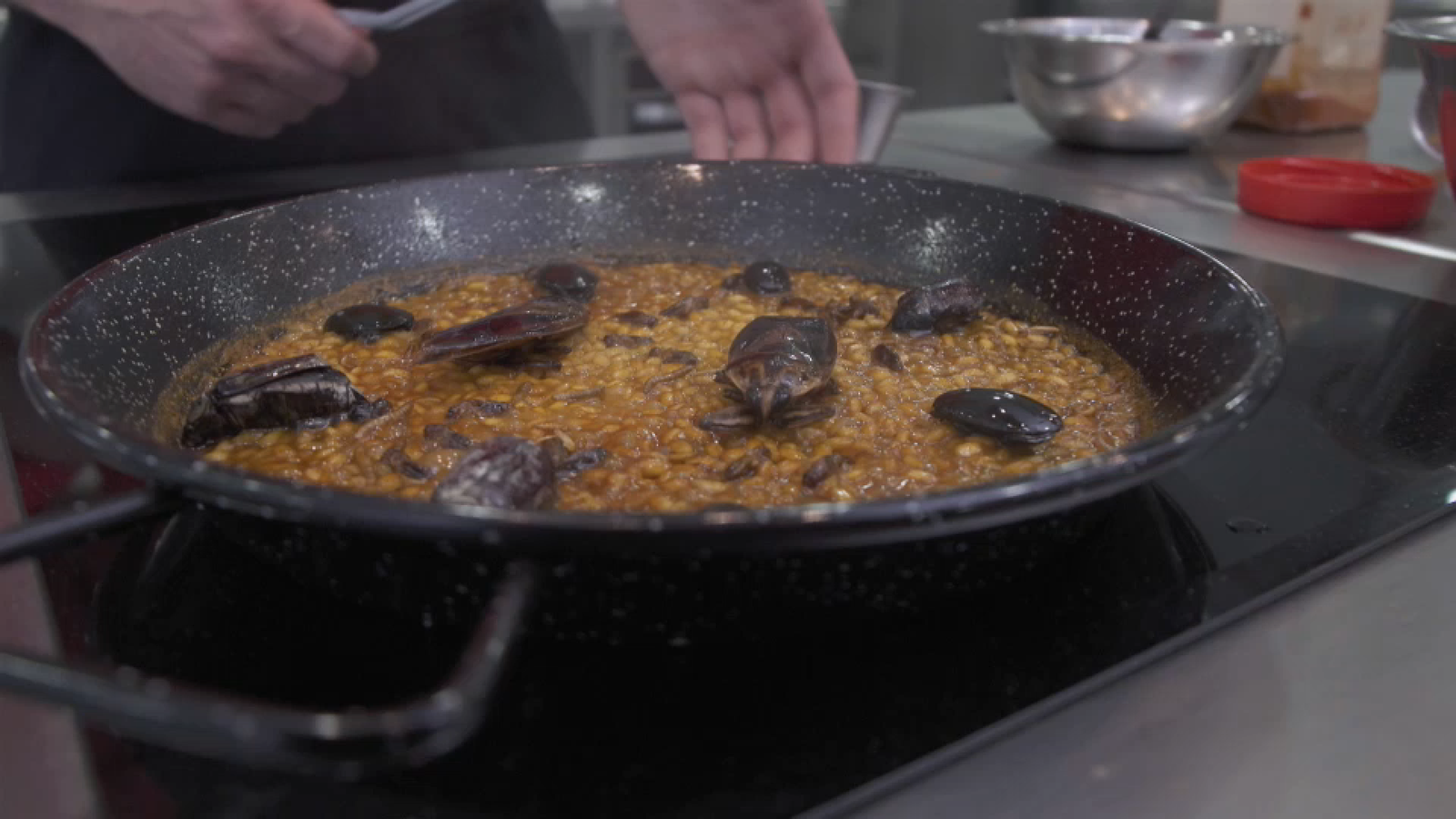 El Centre Superior d'Hostaleria del Mediterrani cuina una paella amb cucs, escarabats i panderoles