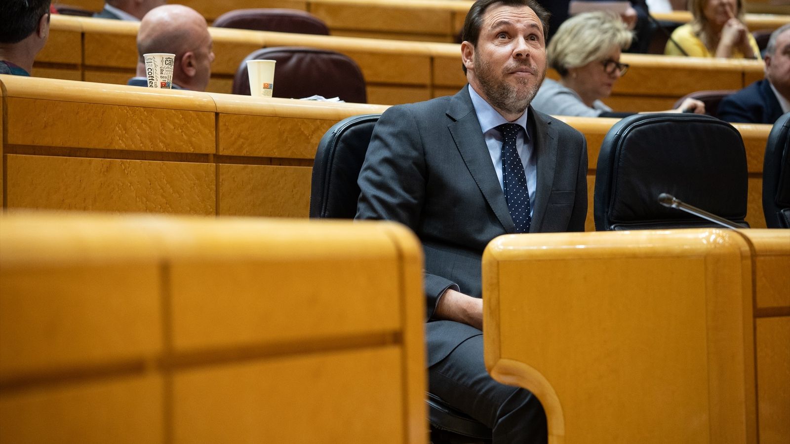 El ministre de Transports i Mobilitat Urbana, Óscar Puente, durant el ple del Senat