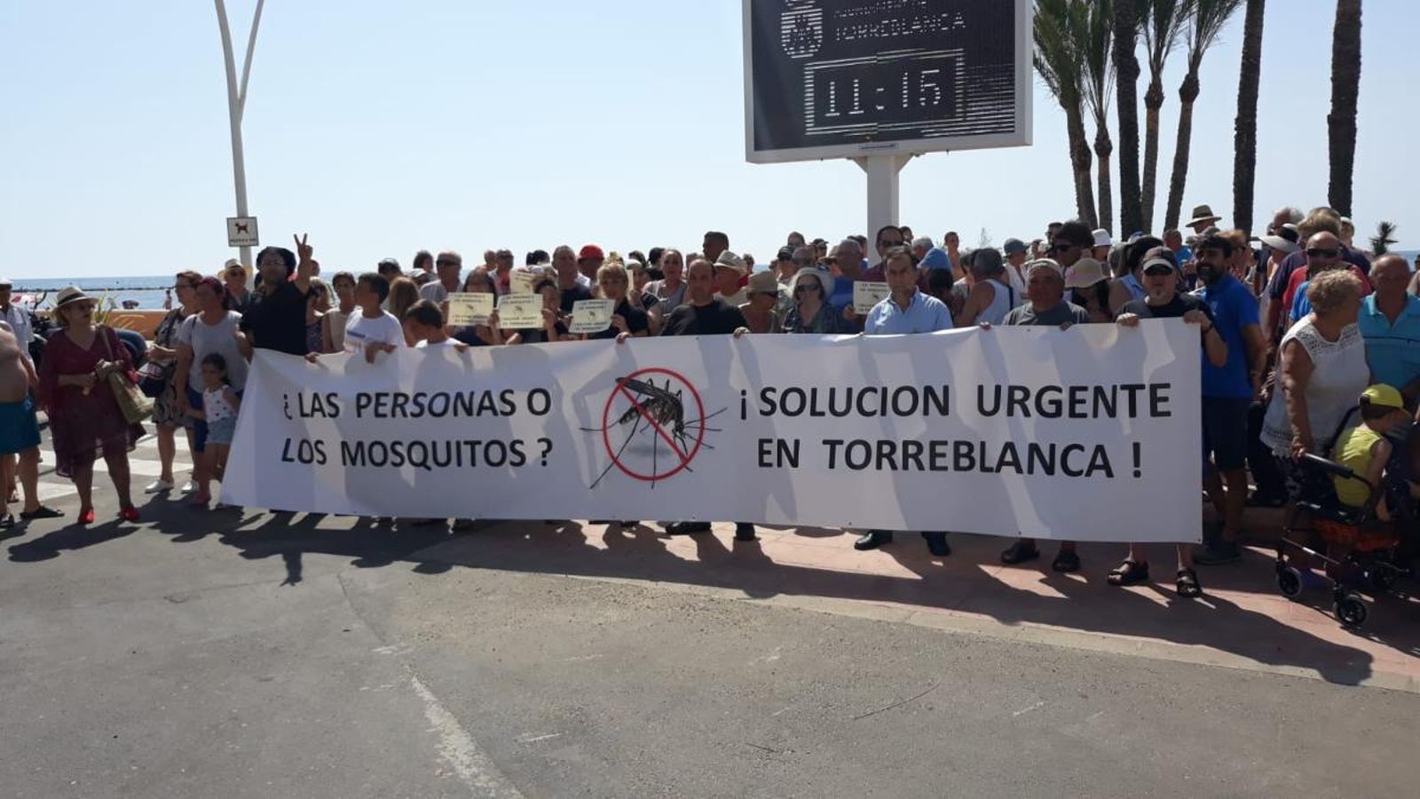 Els hotelers de Torreblanca amenacen de continuar les protestes per la proliferació dels mosquits