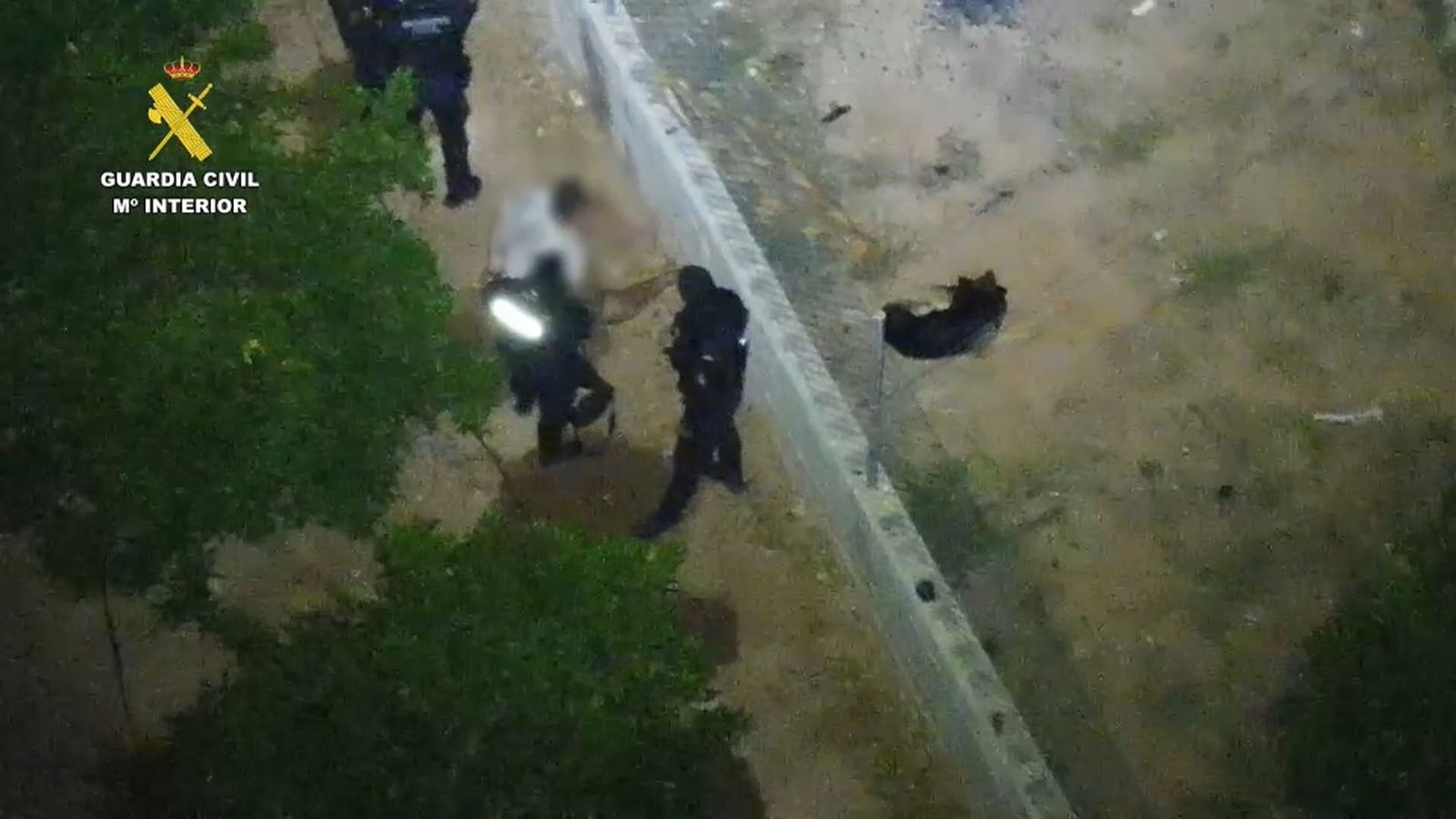 Detenen un home a Bétera per furtar 44 cadells de gos i 84 coloms de competició valorats en vora 145.000 euros