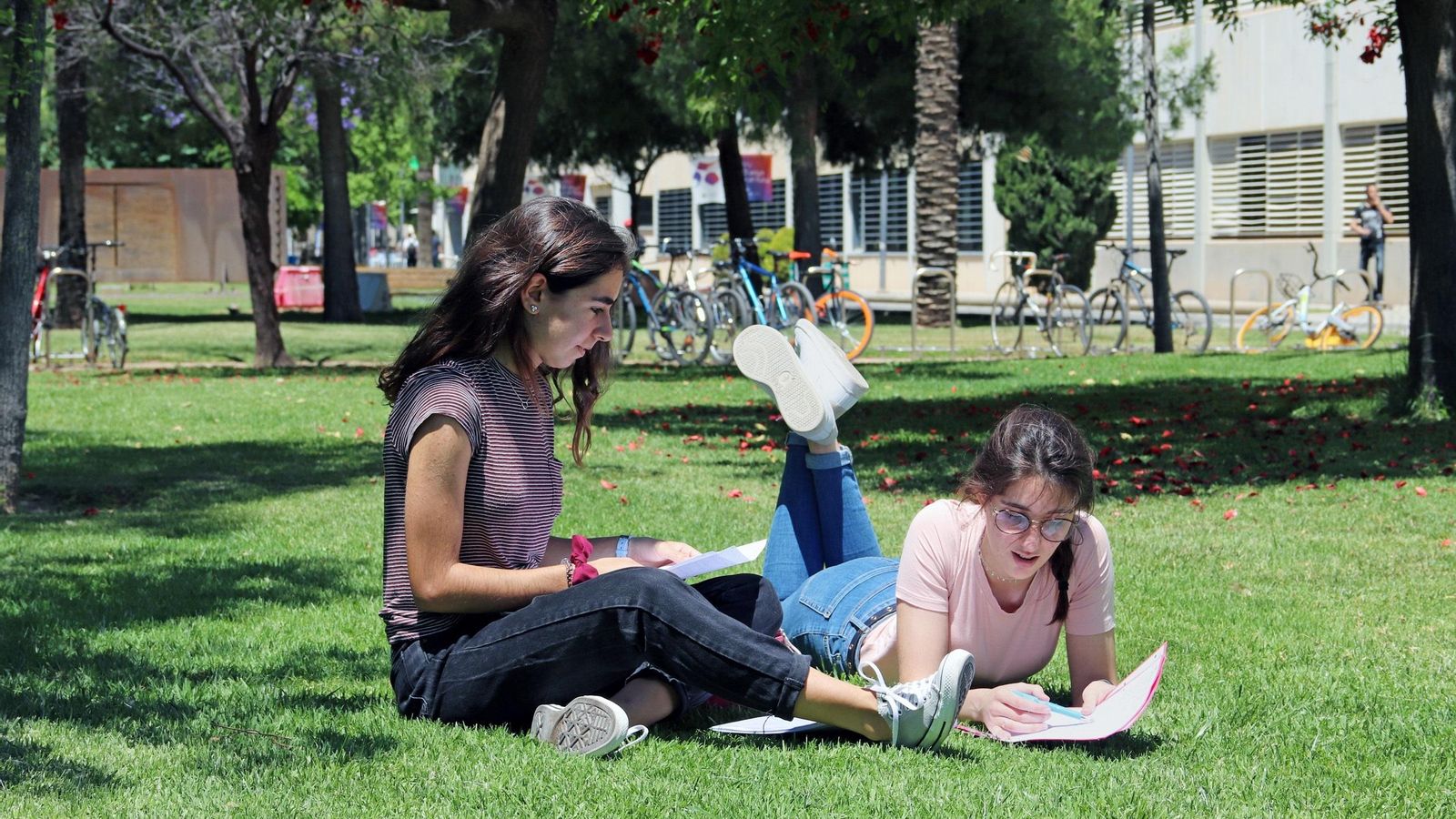 El campus de la Universitat Politècnica de València, en una imatge d'arxiu El campus de la Universitat Politècnica de València, en una imatge d'arxiu