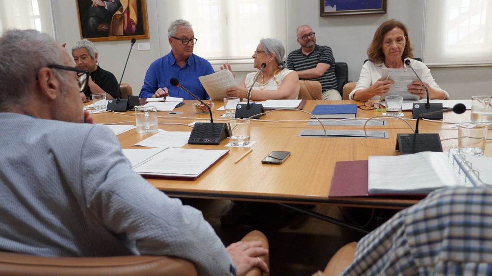 Ple del Consell Valencià de Cultura celebrat este  dilluns 20 de juliol de 2026