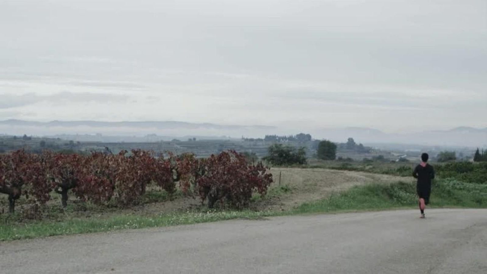 15.10.2019 | Carrícola, la Vall d\'Albaida