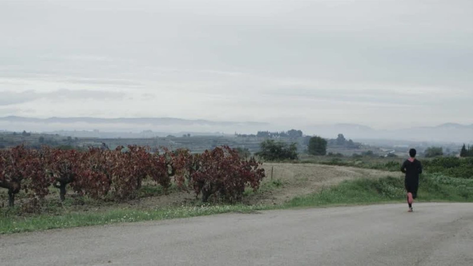 15.10.2019 | Carrícola, la Vall d\'Albaida