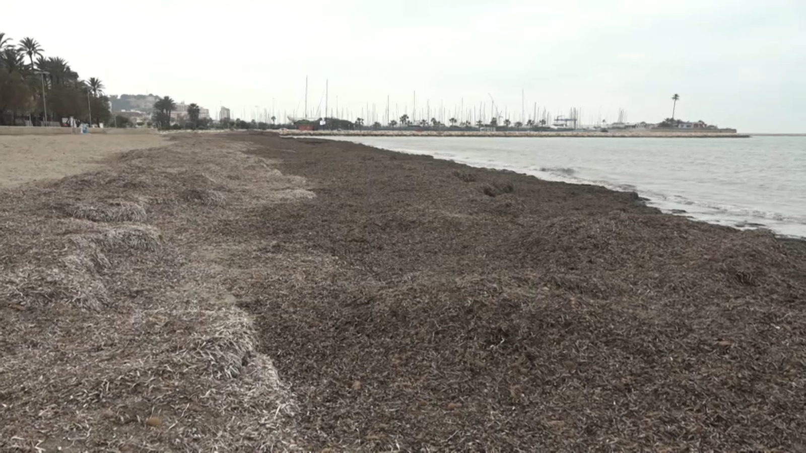 Platja de Dénia (Marina Alta)