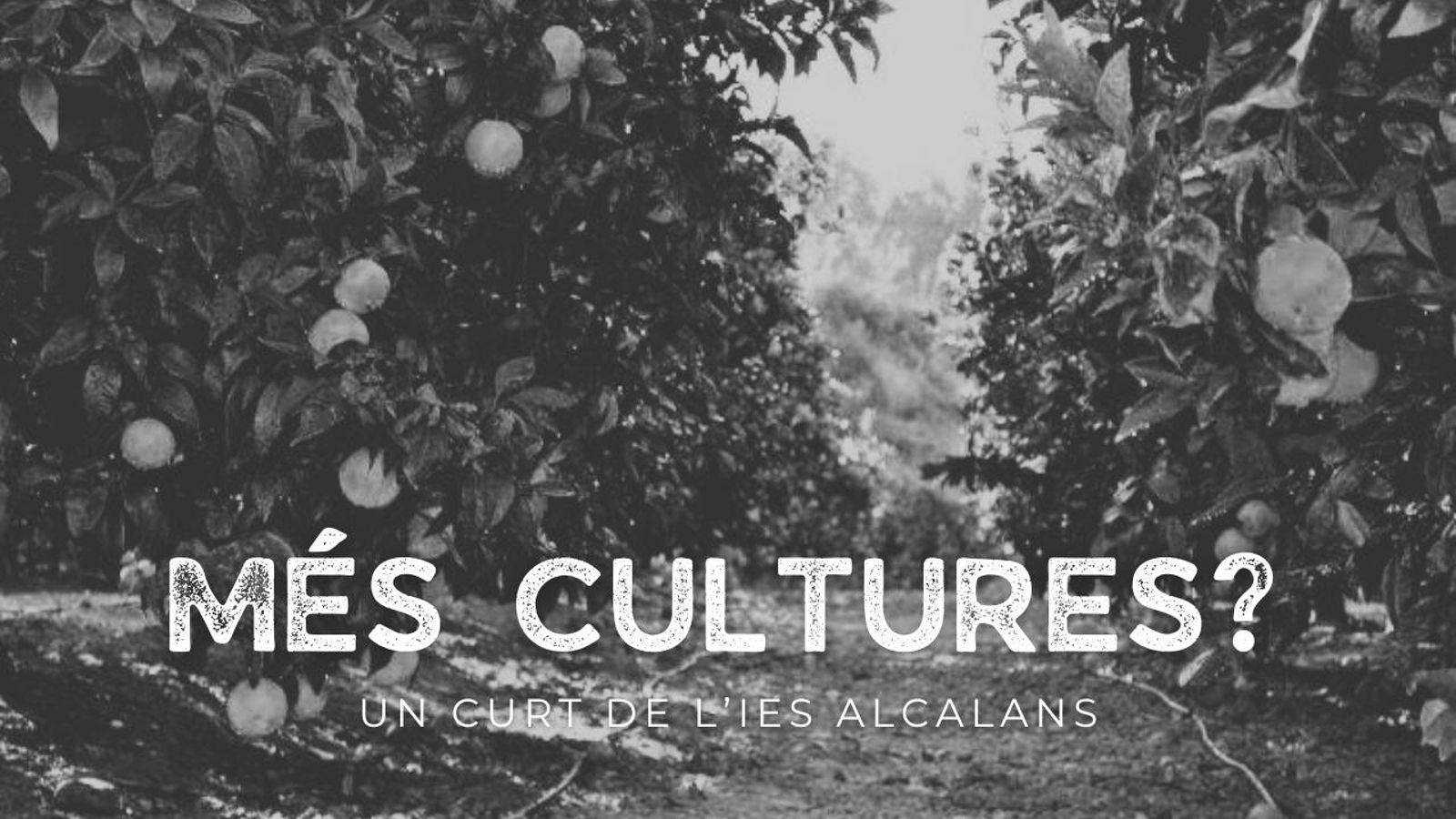 Més cultures?, IES Alcalans (Montserrat, la Ribera Alta)