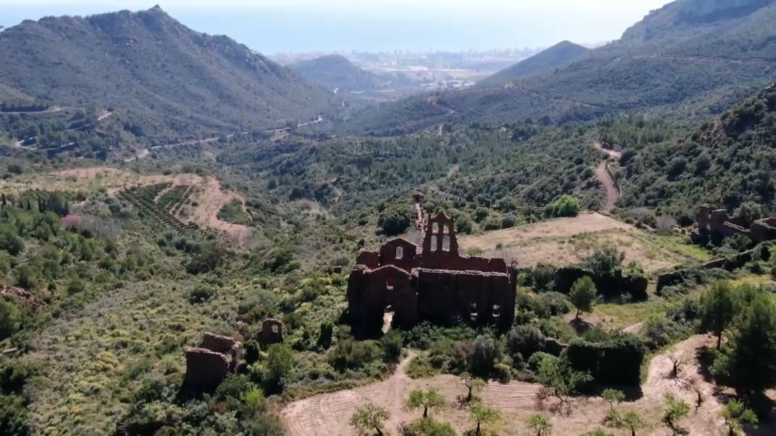 Plana alta 1