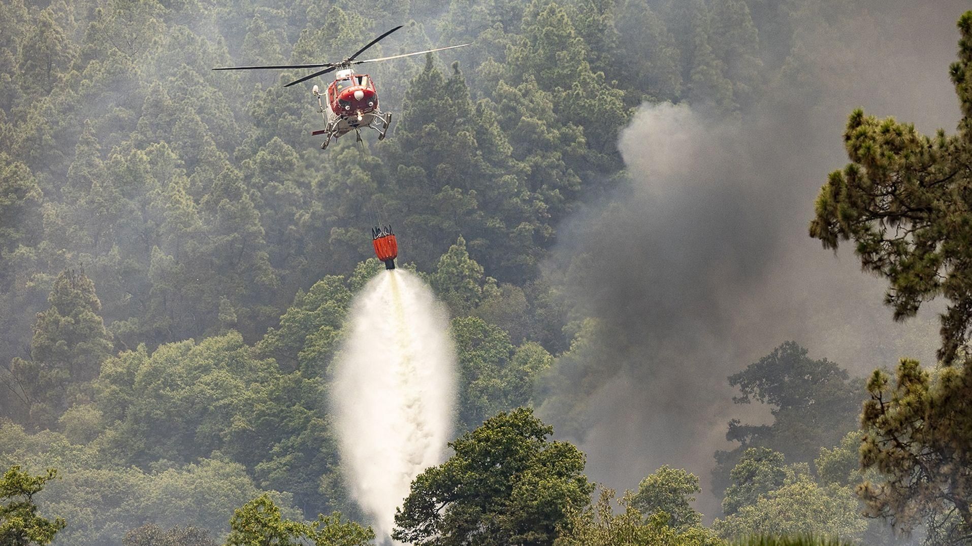 Un hidroavió treballa en l'extinció de l'incendi forestal a La Orotava, a Tenerife Incendi Tenerife crema vora 15.000 hectàrees